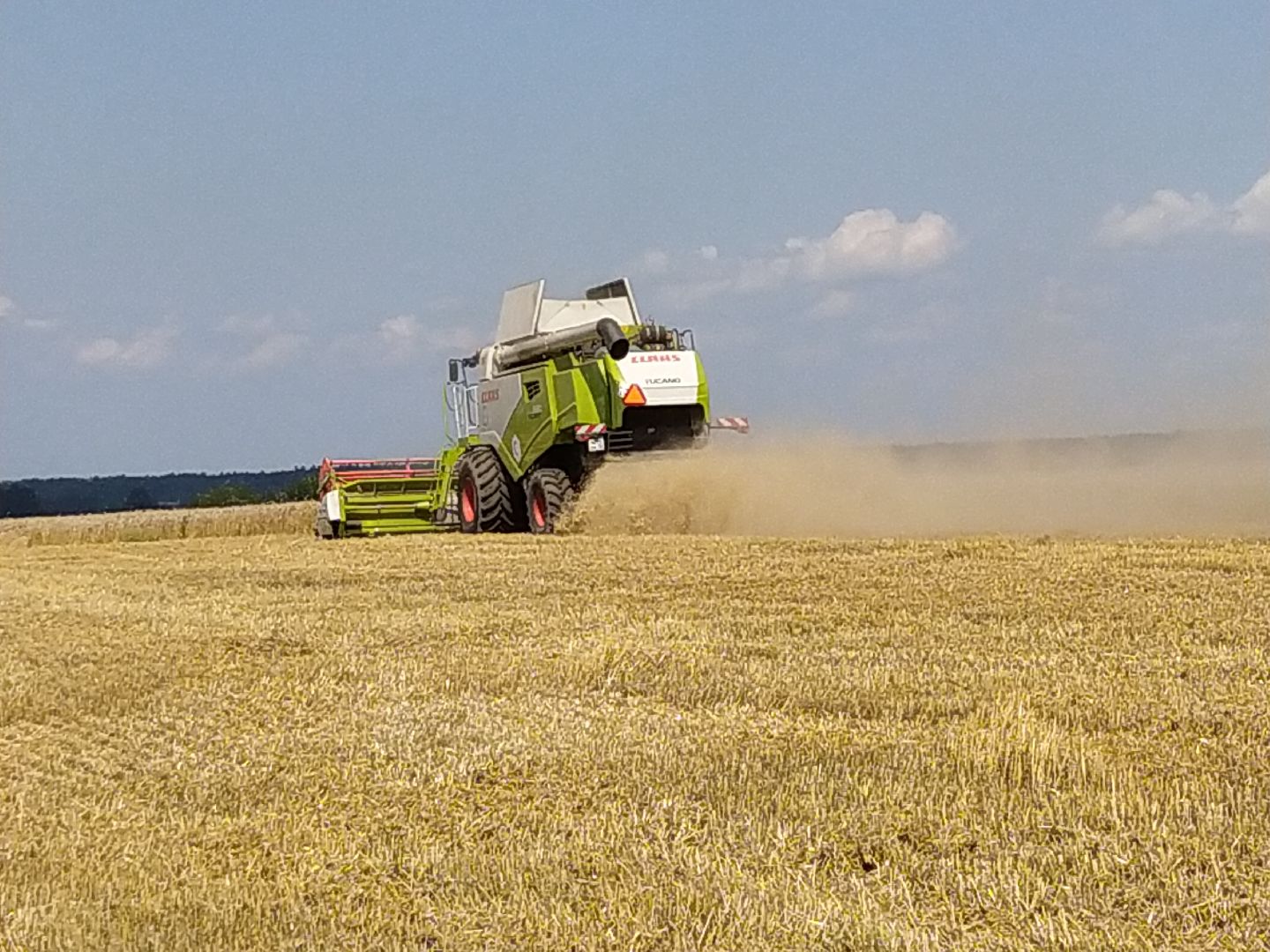 Луховицы, Сельское хозяйство