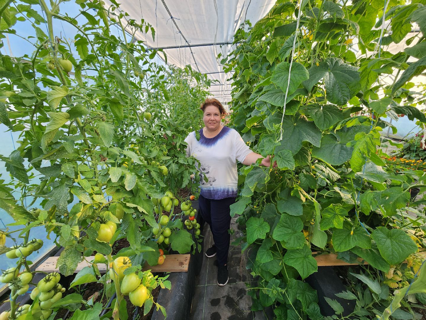 Звенигород, сельское хозяйство, садовое хозяйство