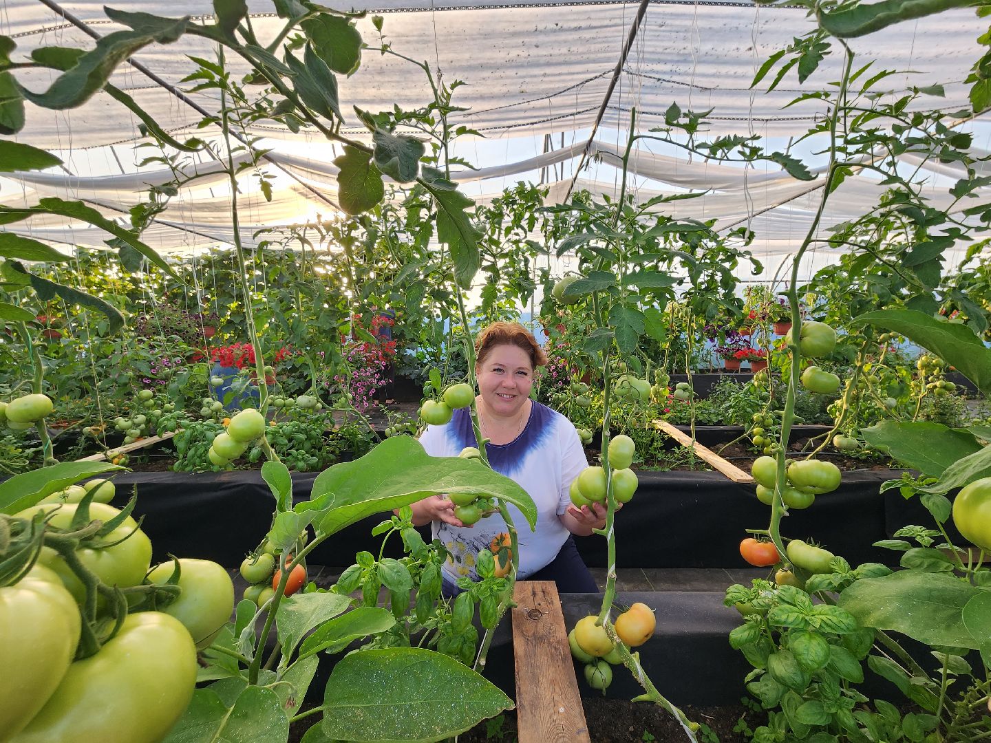 Звенигород, сельское хозяйство, садовое хозяйство