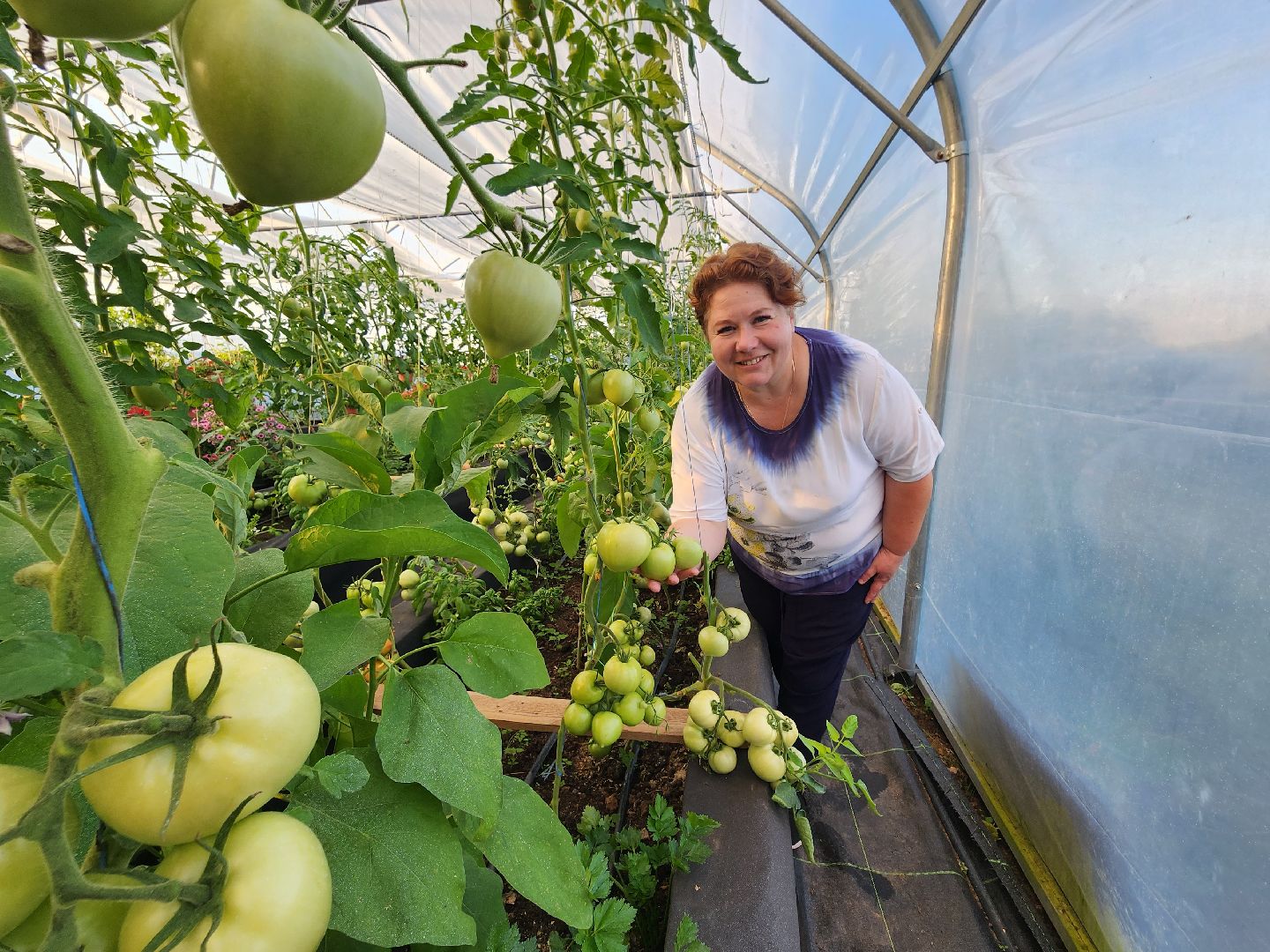 Звенигород, сельское хозяйство, садовое хозяйство