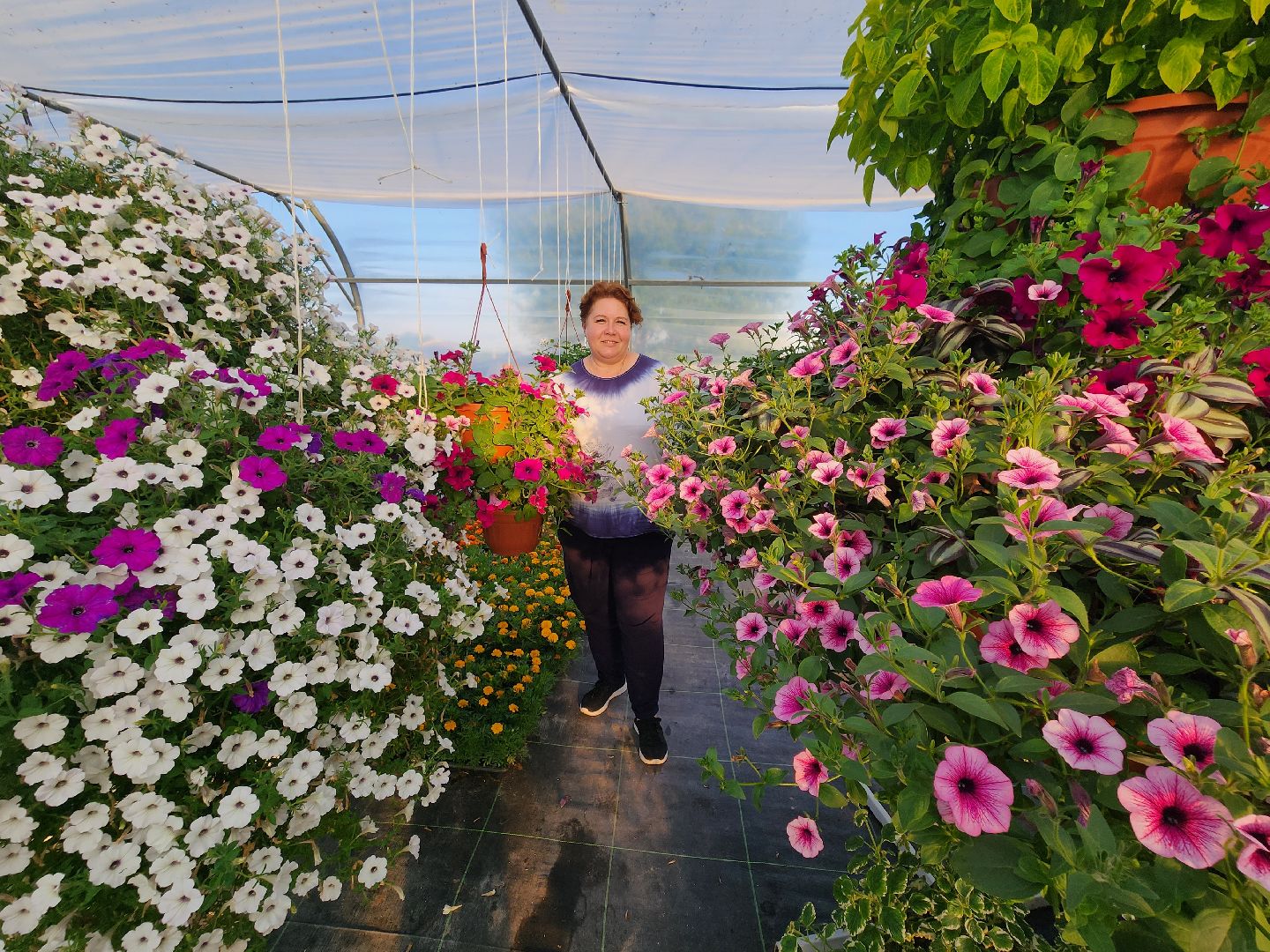 Звенигород, сельское хозяйство, садовое хозяйство