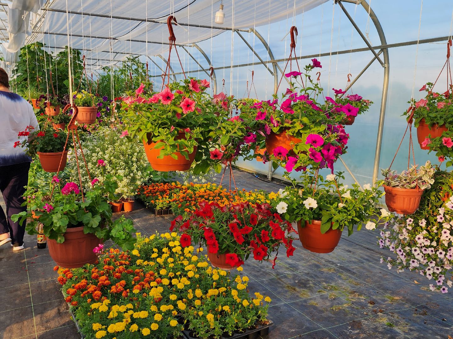 Звенигород, туризм, гастрономический фестиваль, фермерство, сельское хозяйство, цветы