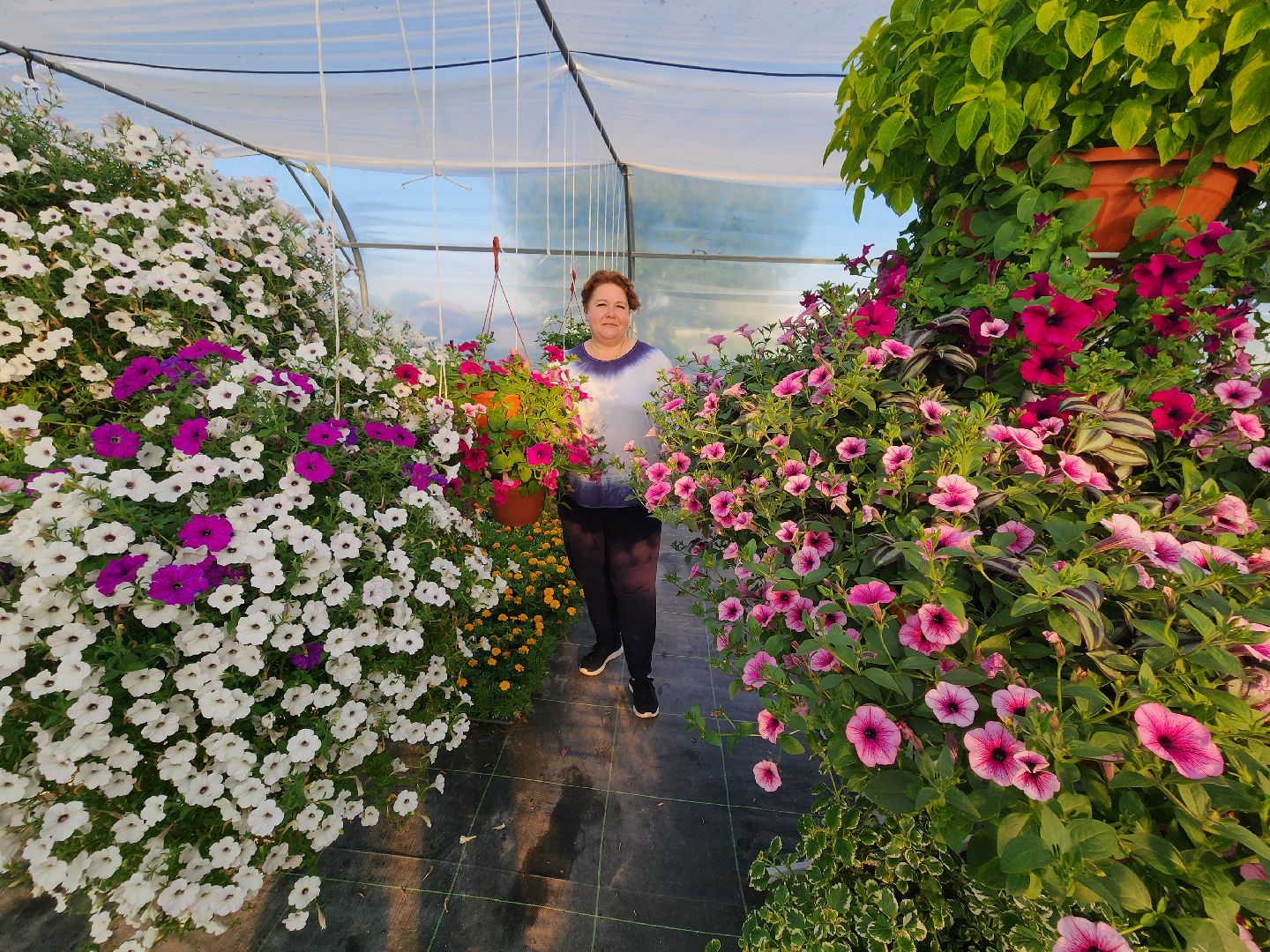 Звенигород, туризм, гастрономический фестиваль, фермерство, сельское хозяйство, цветы