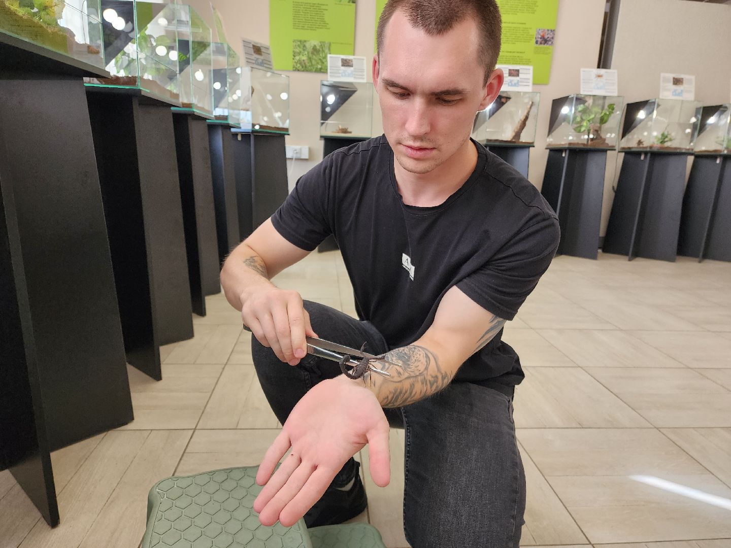 Раменское, культура, выставка пауков и скорпионов в Раменском музее