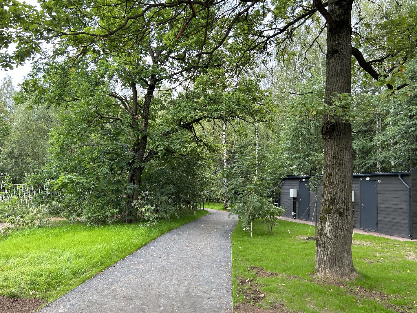 благоустройство, лесопарк, Фрязино, площадки, дети