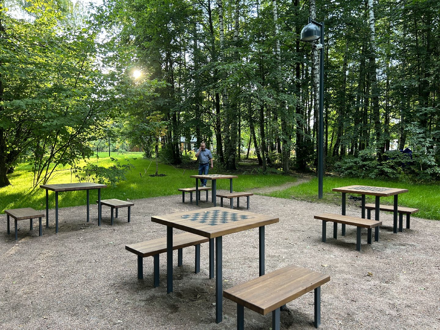 благоустройство, лесопарк, Фрязино, площадки, дети