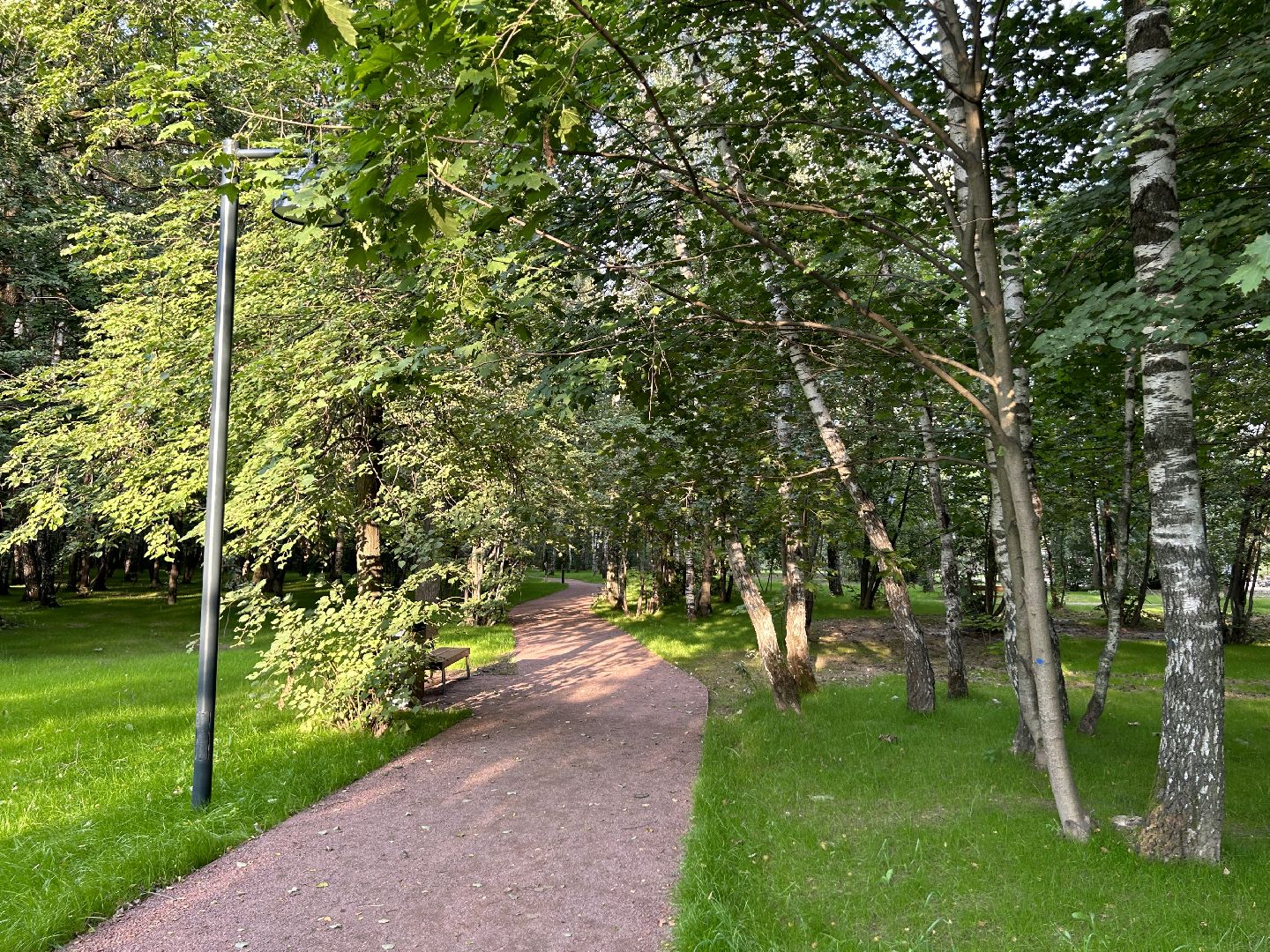 благоустройство, лесопарк, Фрязино, площадки, дети