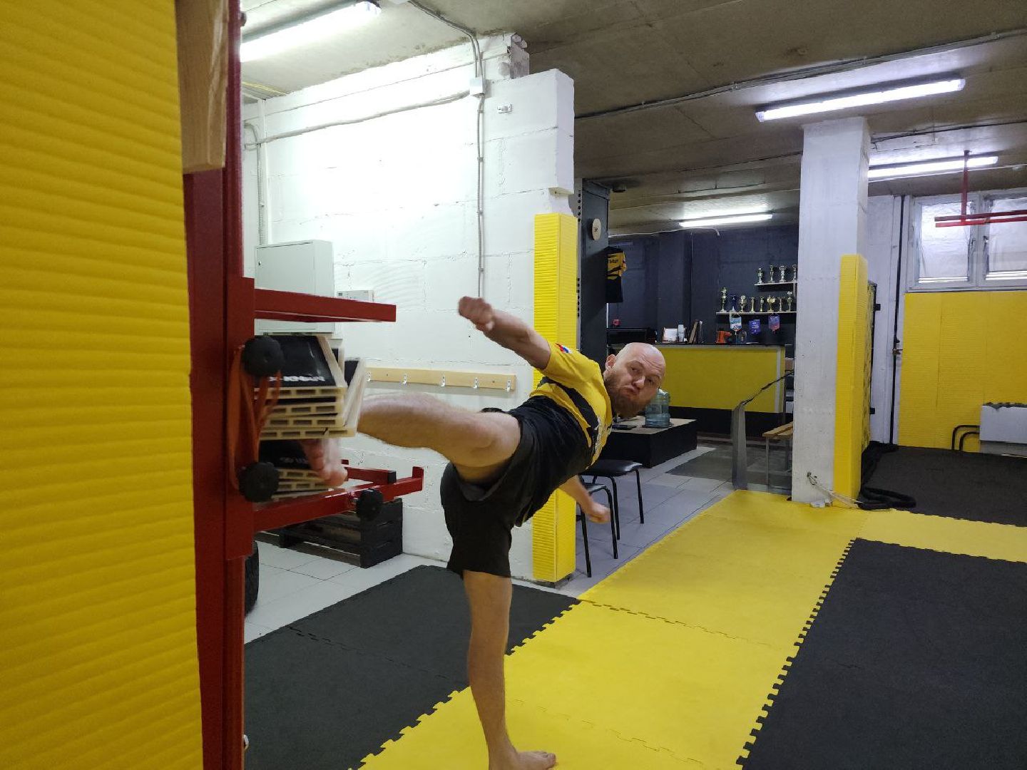 спорт, чемпионат мира, тхэквондо, Лосино-Петровский