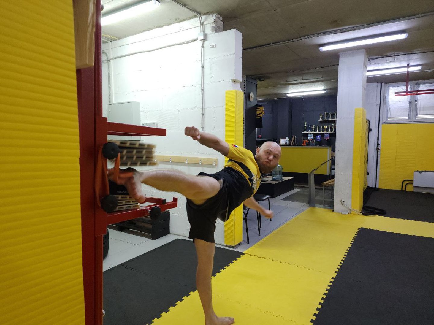 спорт, чемпионат мира, тхэквондо, Лосино-Петровский