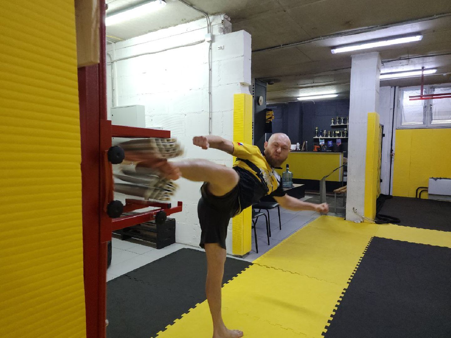 спорт, чемпионат мира, тхэквондо, Лосино-Петровский