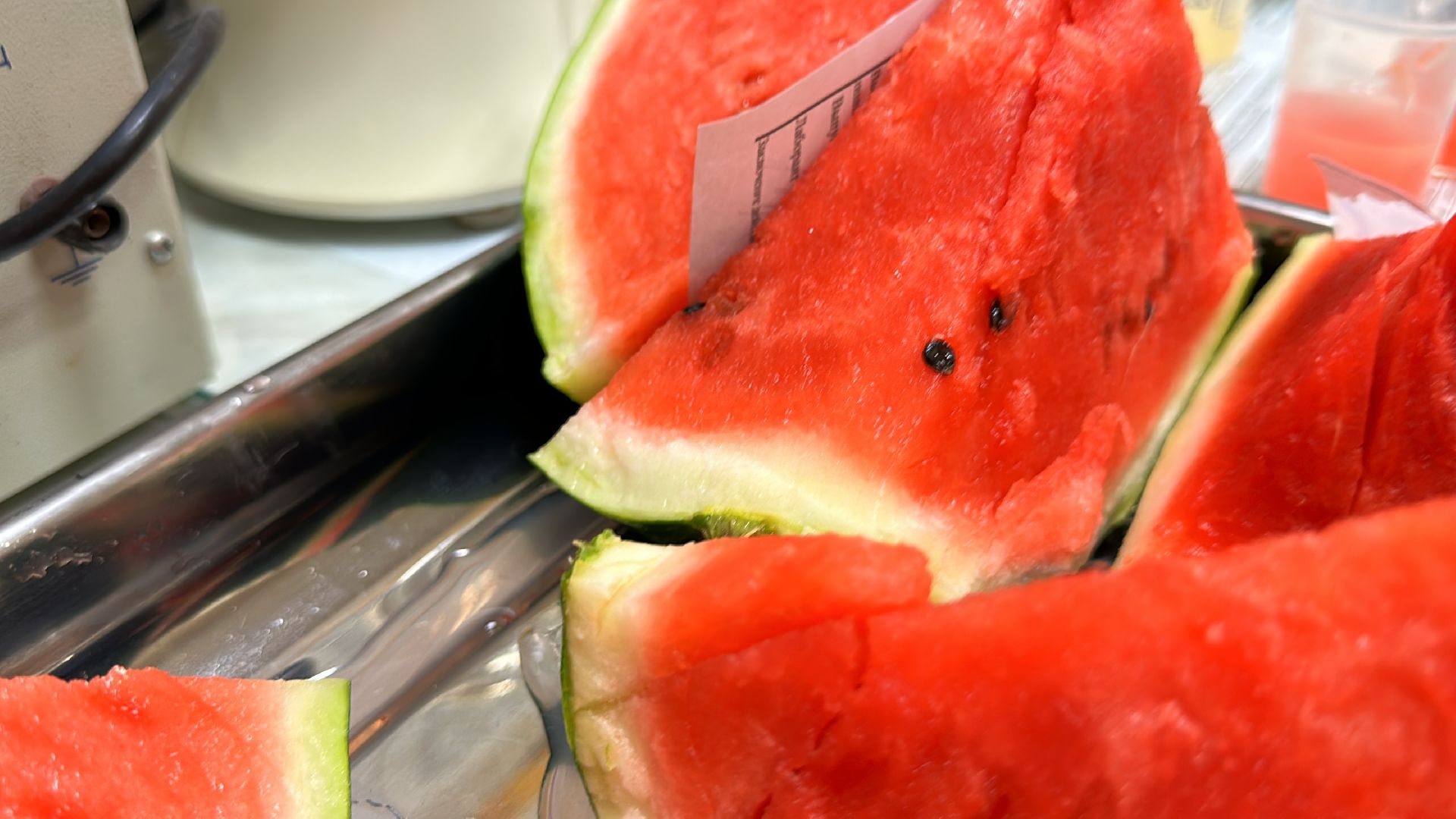 Одинцово, Арбузы, Контроль качества, Подмосковье