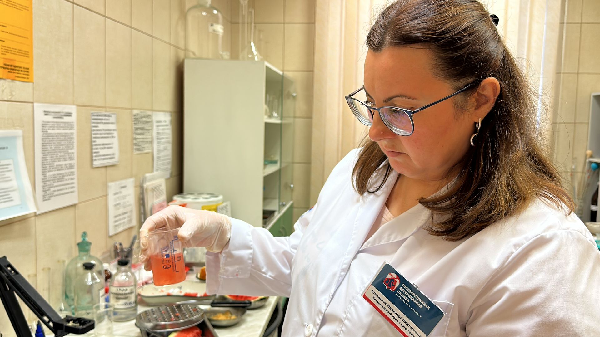 Одинцово, Арбузы, Контроль качества, Подмосковье