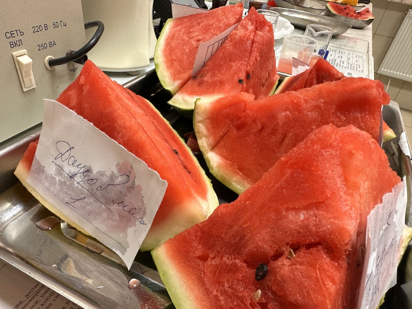 Одинцово, Арбузы, Контроль качества, Подмосковье