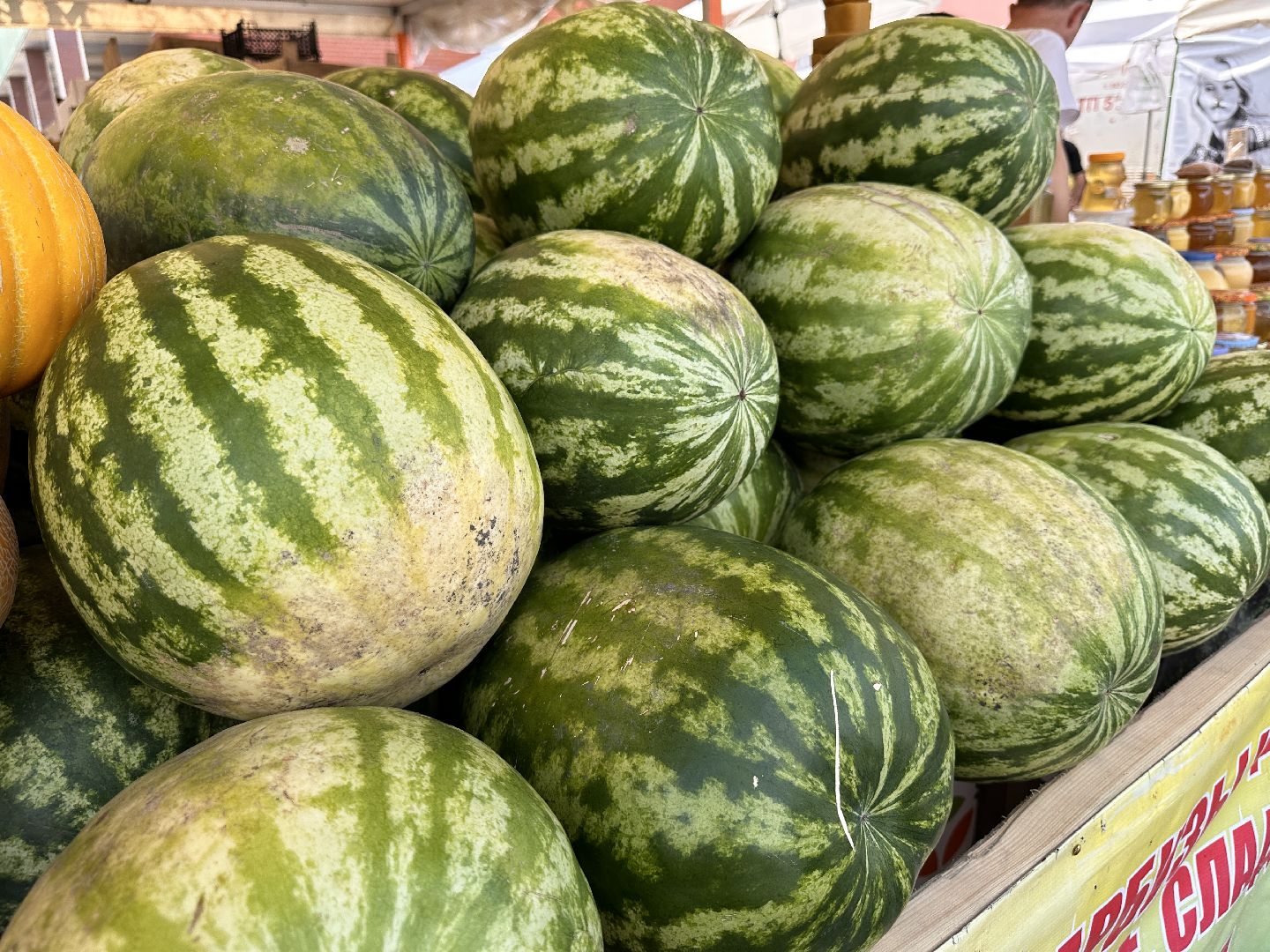 Одинцово, Арбузы, Контроль качества, Подмосковье