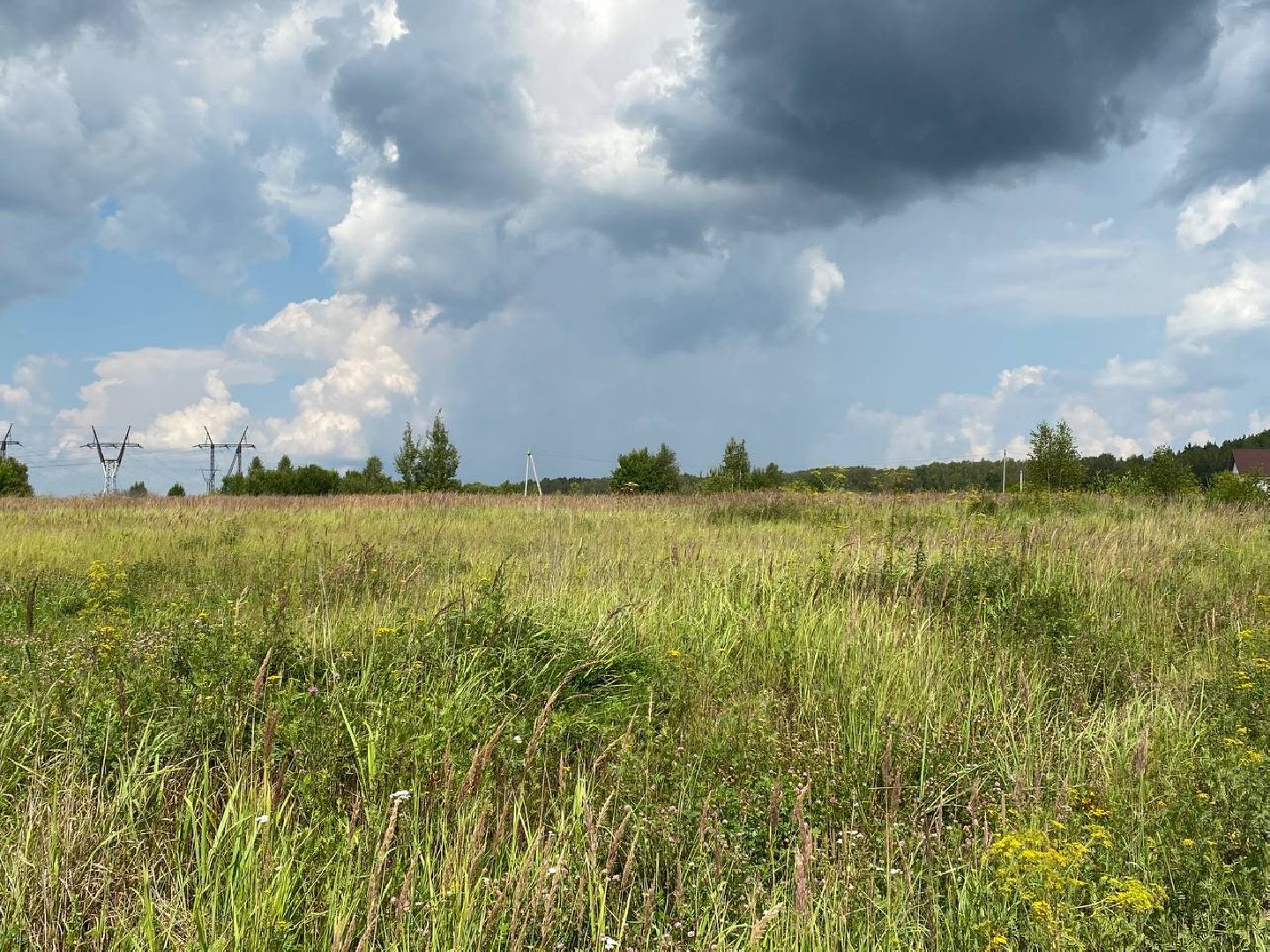 Чехов, медицина, больница, врачи, земля врачам, программа, губернатор