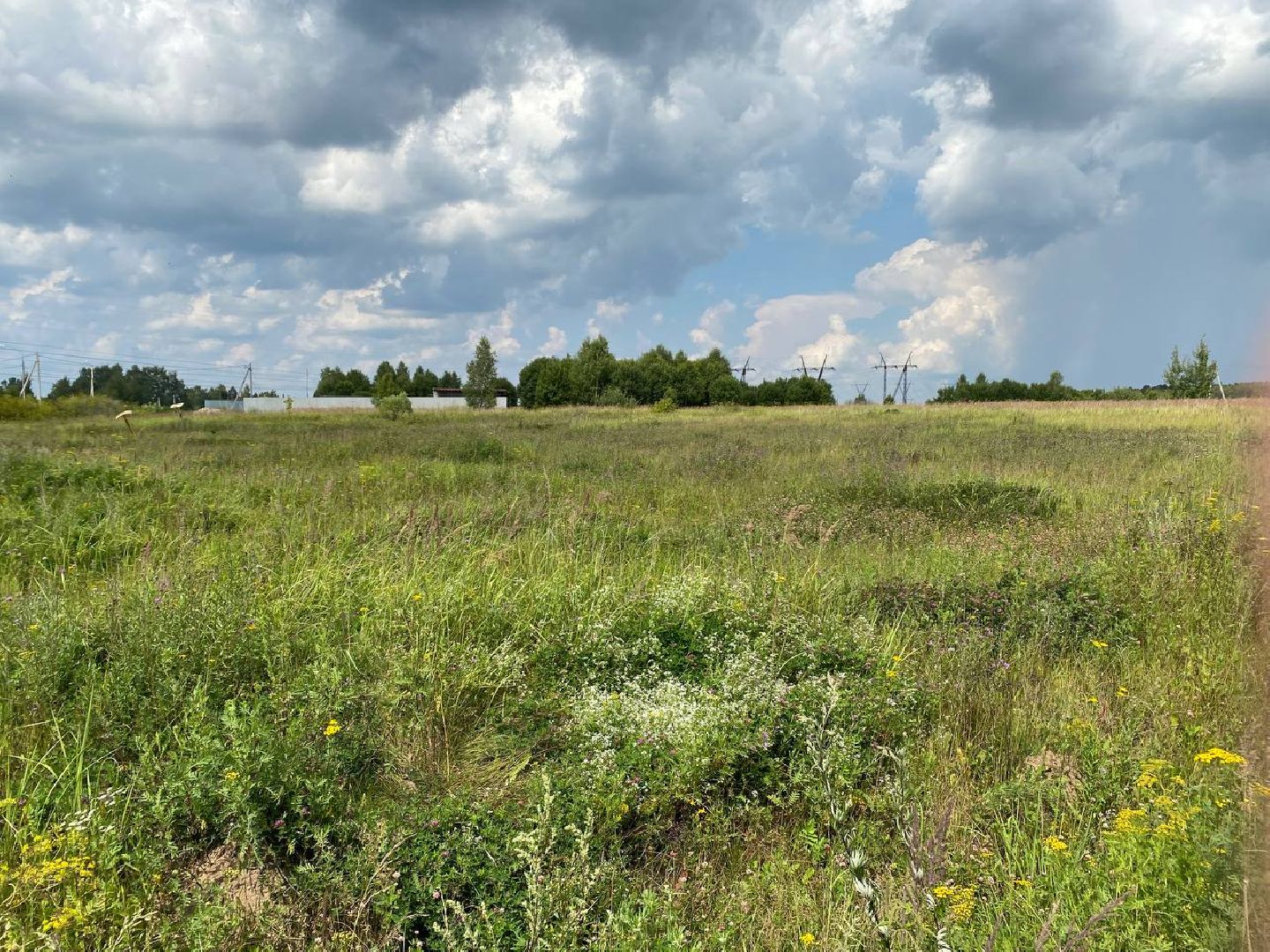 Чехов, медицина, больница, врачи, земля врачам, программа, губернатор