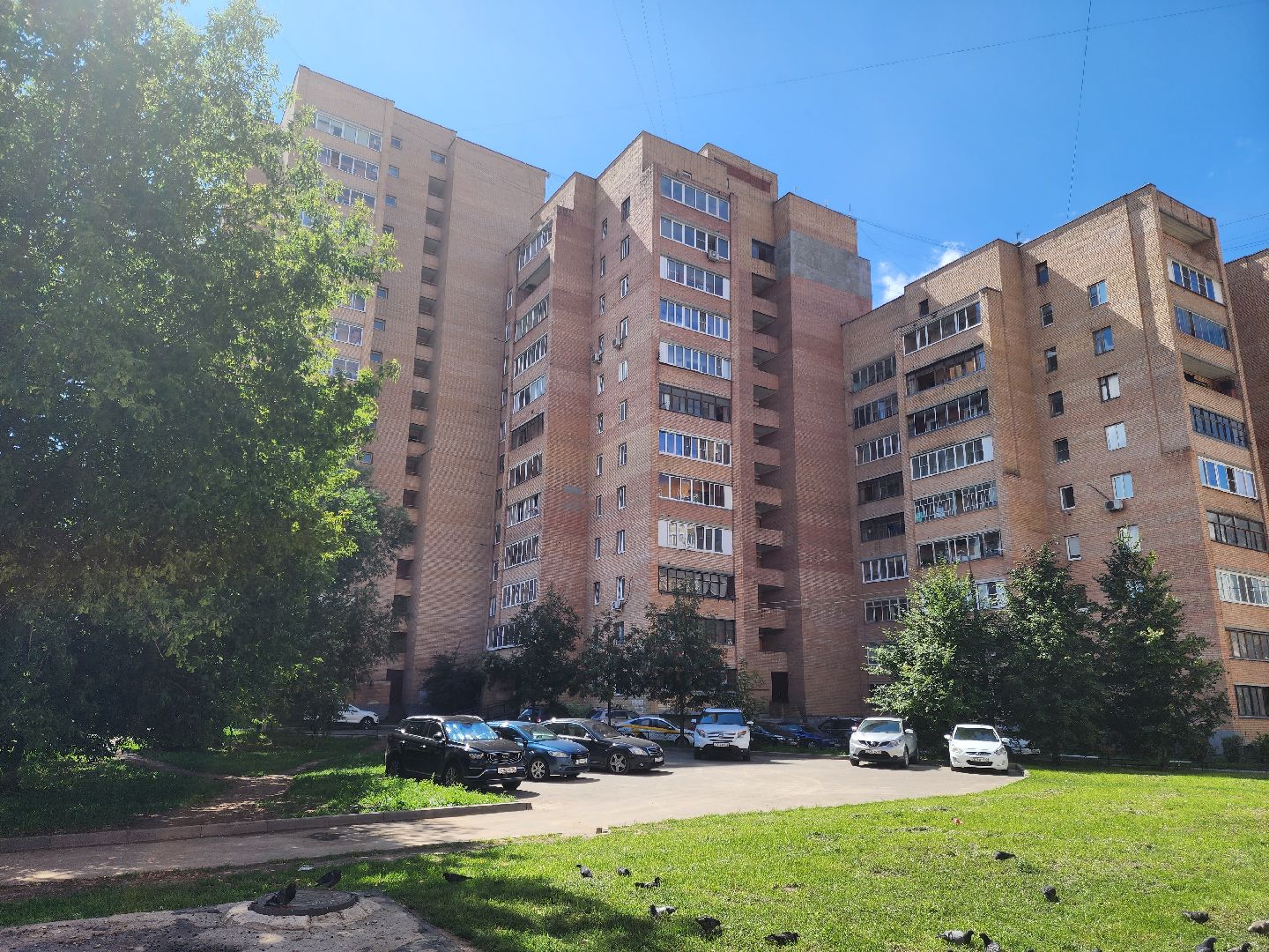 Подольск, зоозащитник, собака, выбросил из окна