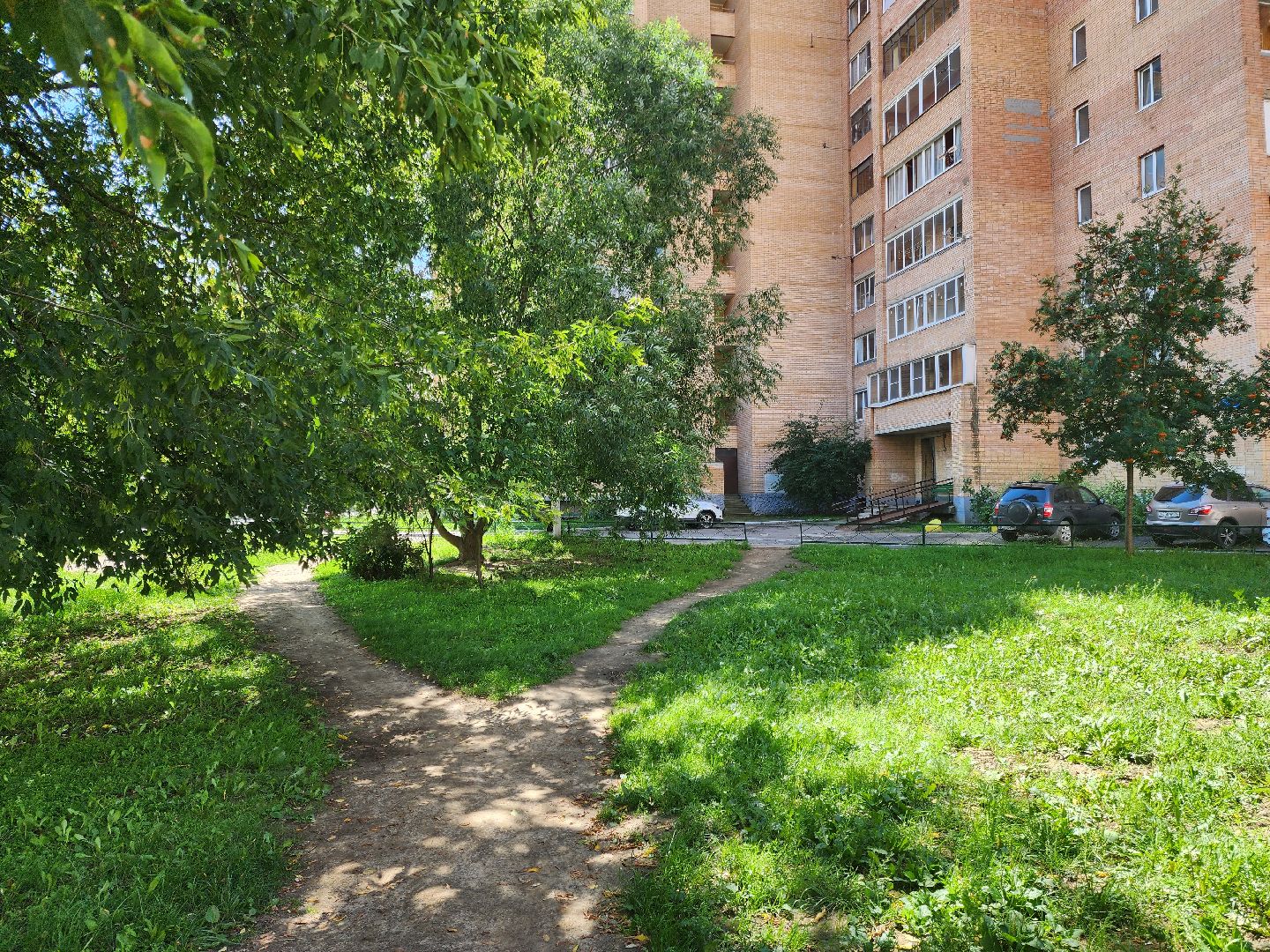 Подольск, зоозащитник, собака, выбросил из окна