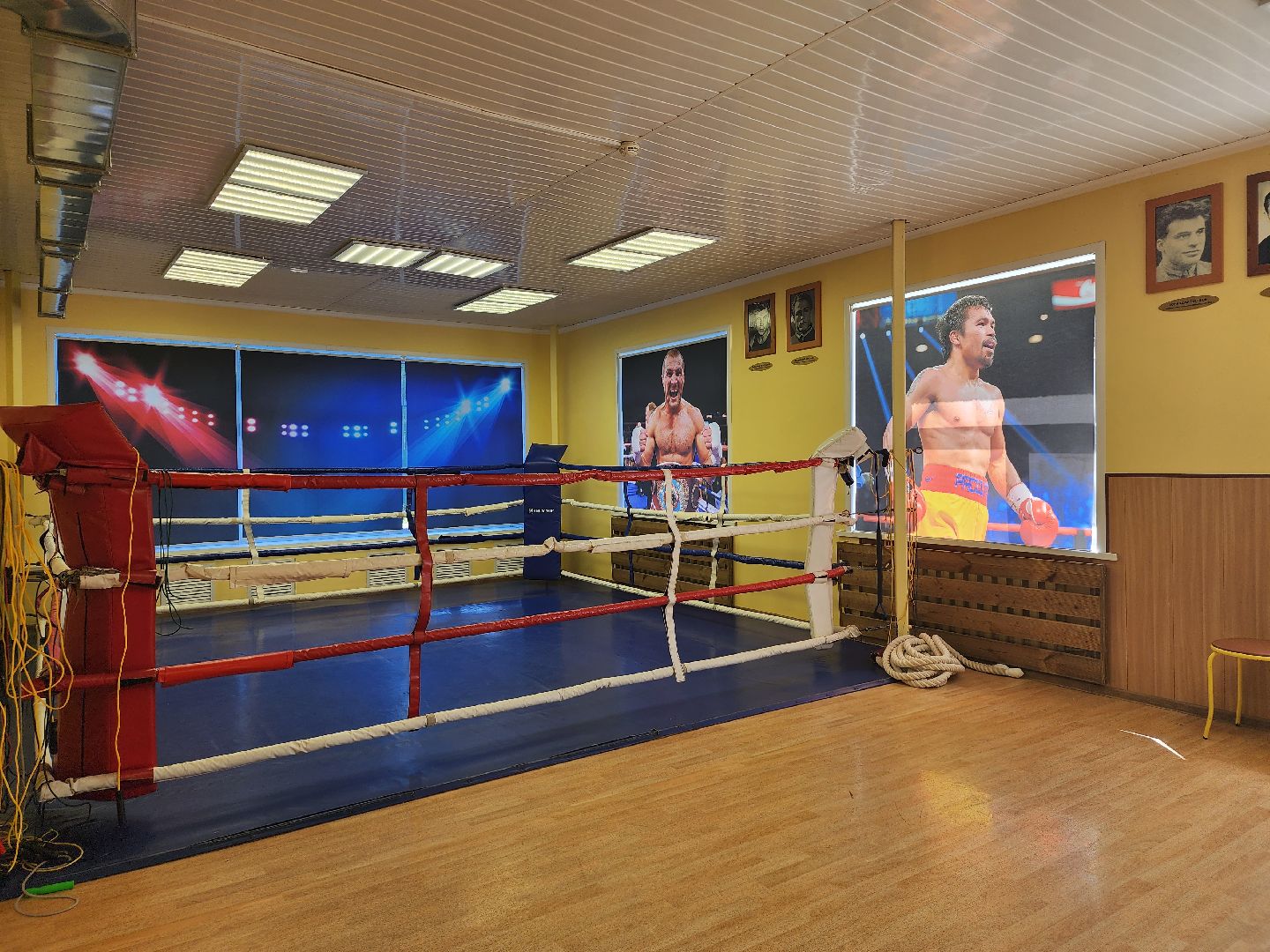 Школа бокса, бокс, школа олимпийского резерва, Ногинск, Богородский городской округ