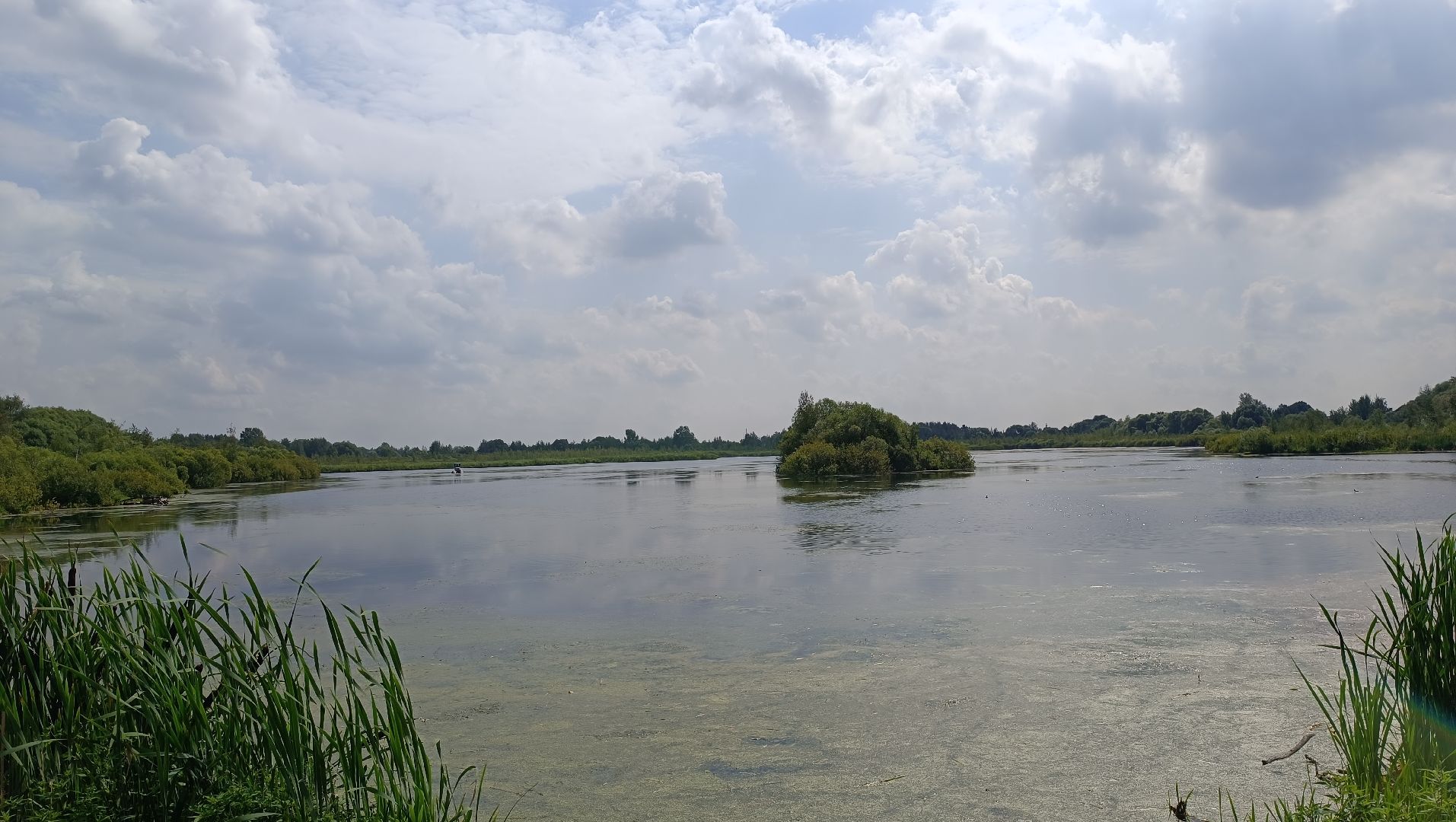 Лобня, благоустройство, парк