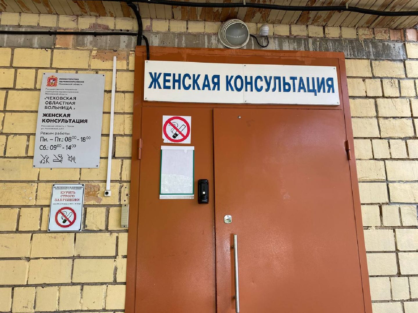 Чехов, медицина, врач, больница, земля врачам, губернатор, благодарность