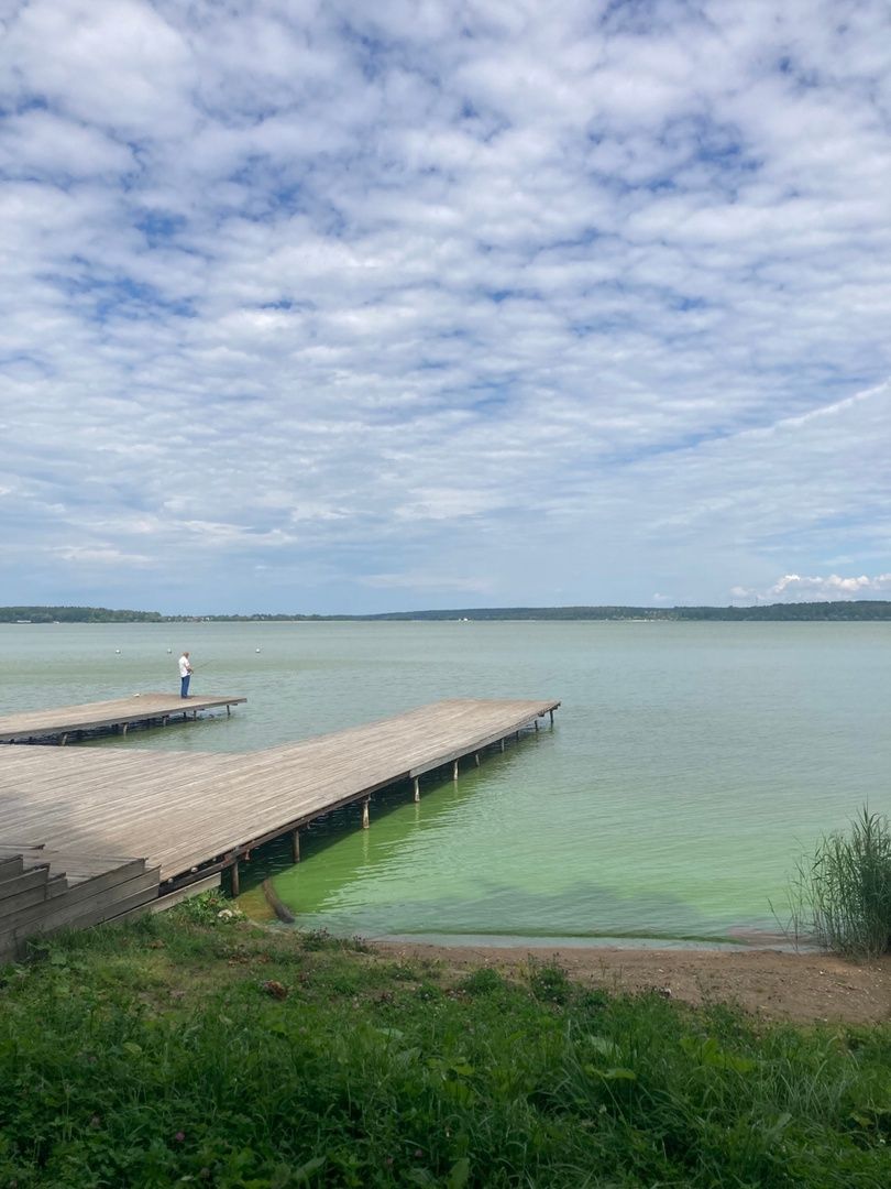 Солнечногорск, Сенеж, отдых, Роспотребнадзор, экология