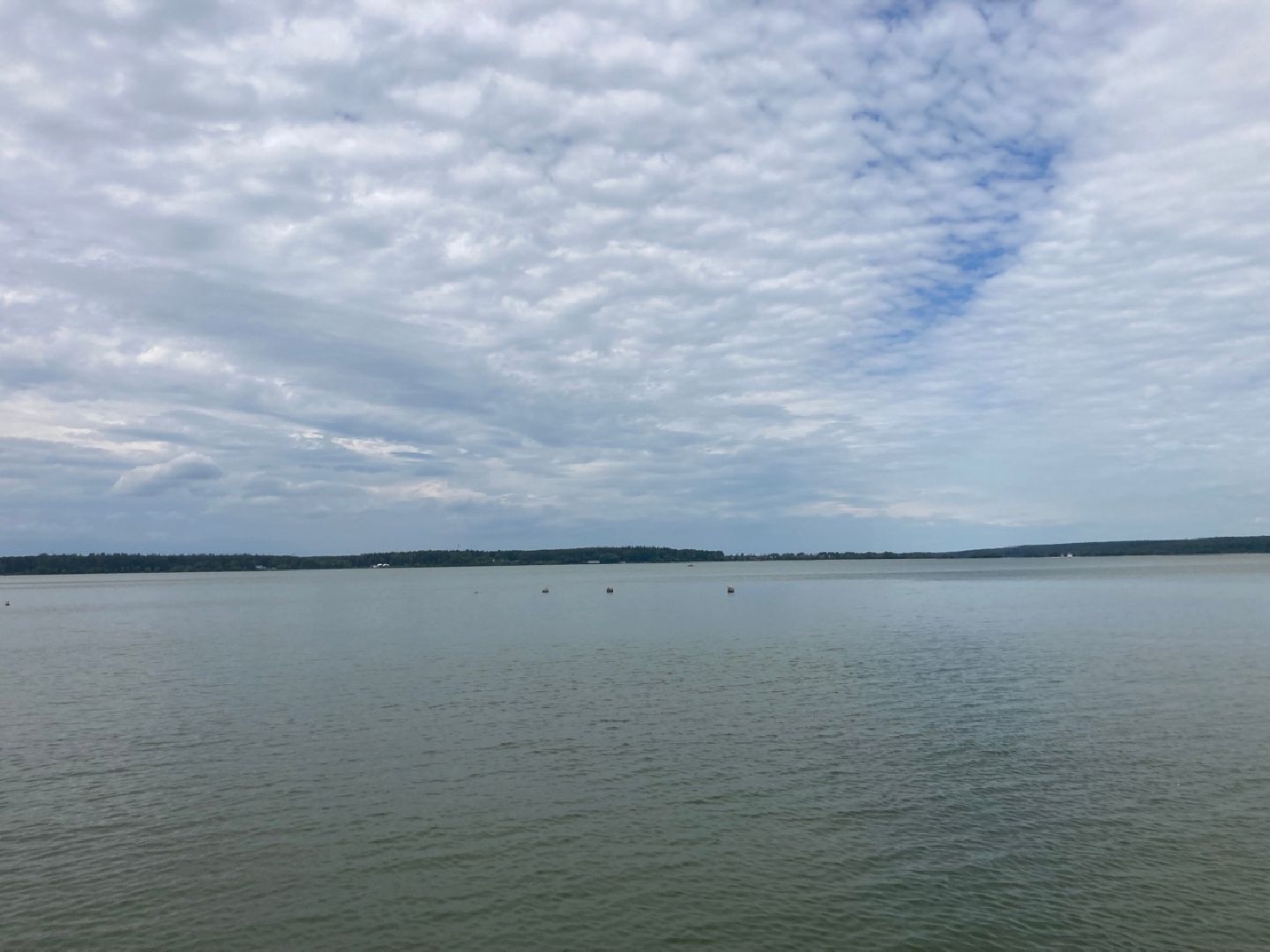 Солнечногорск, Сенеж, отдых, Роспотребнадзор, экология