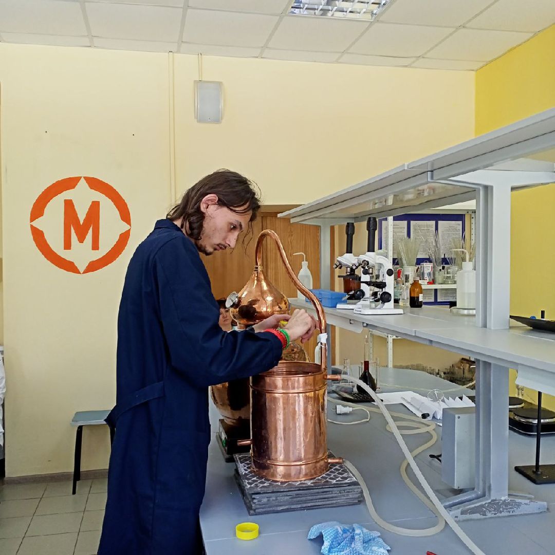 Балашиха, Подмосковье, экология, чемпионат «Профессионалы», виноделие