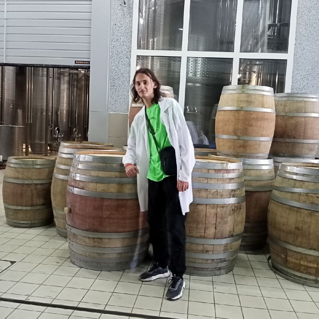 Балашиха, Подмосковье, экология, чемпионат «Профессионалы», виноделие