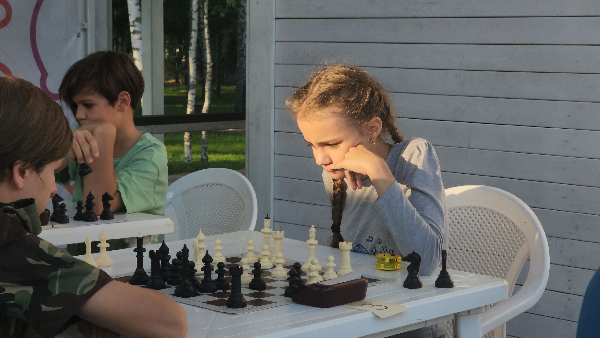 Пушкино, шахматы