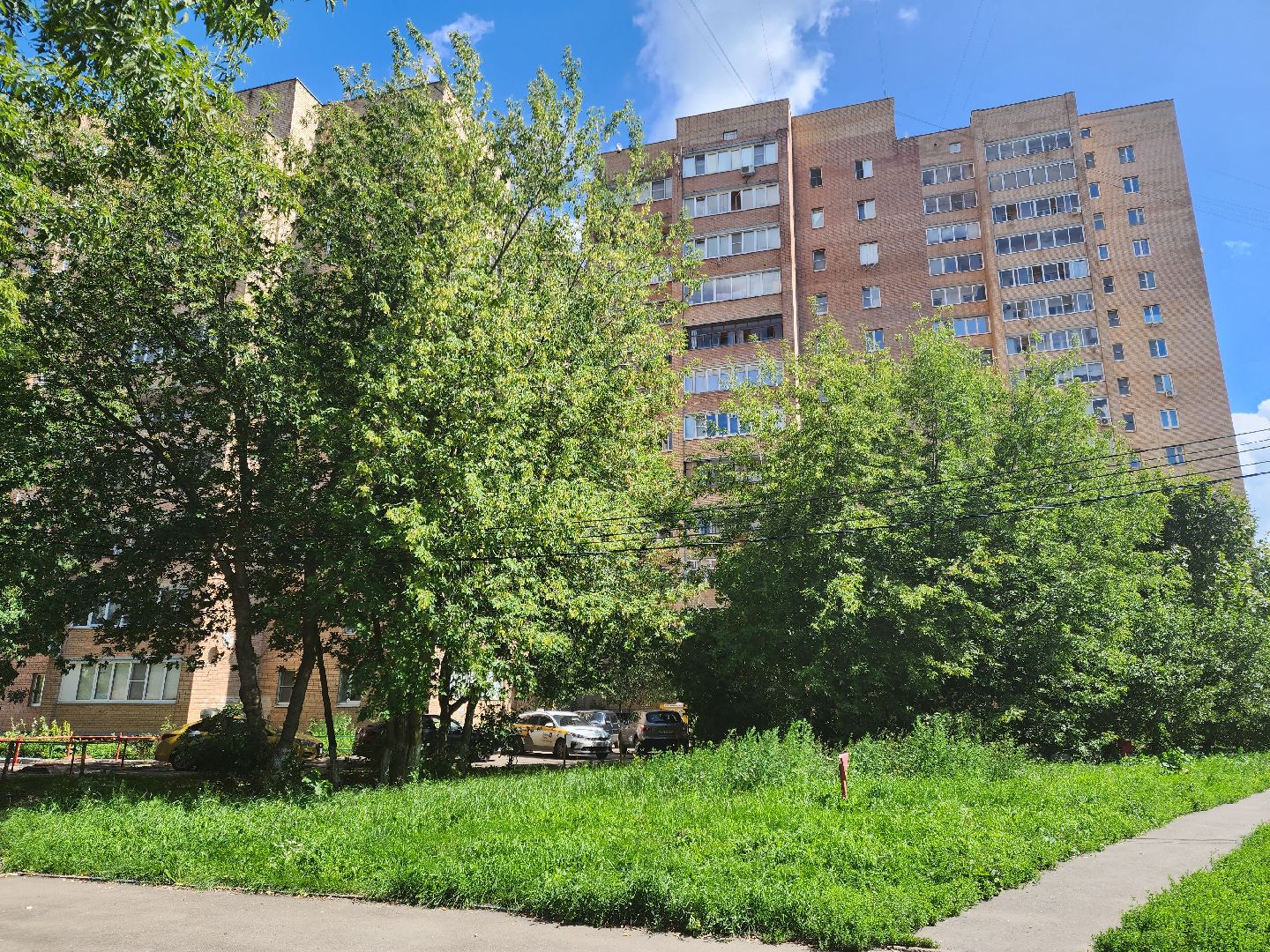 Подольск, собака, 11 этаж, выбросили собаку, жестокое обращение