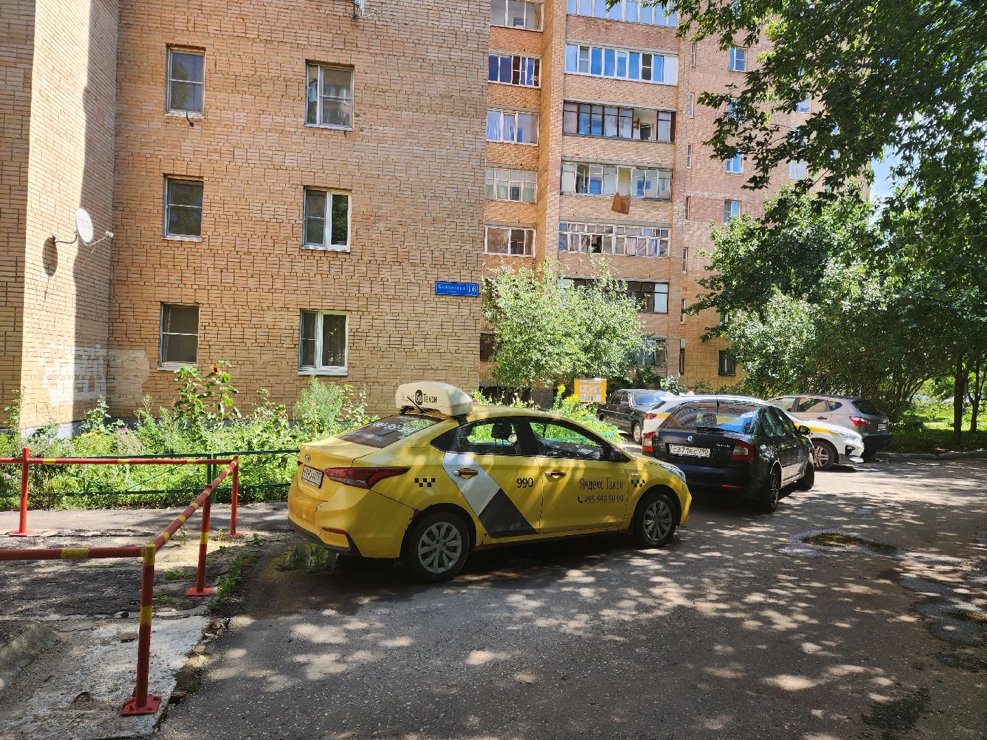 Подольск, собака, 11 этаж, выбросили собаку, жестокое обращение