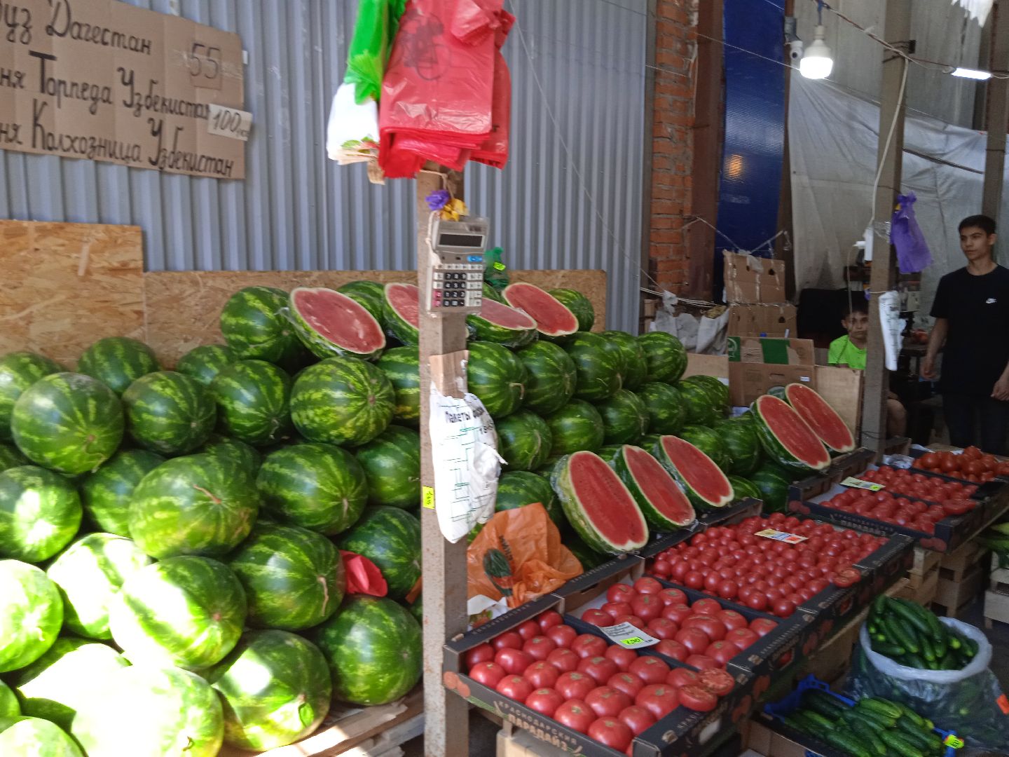 арбузы, дыни, сезон, точки, продажи, бахчевых