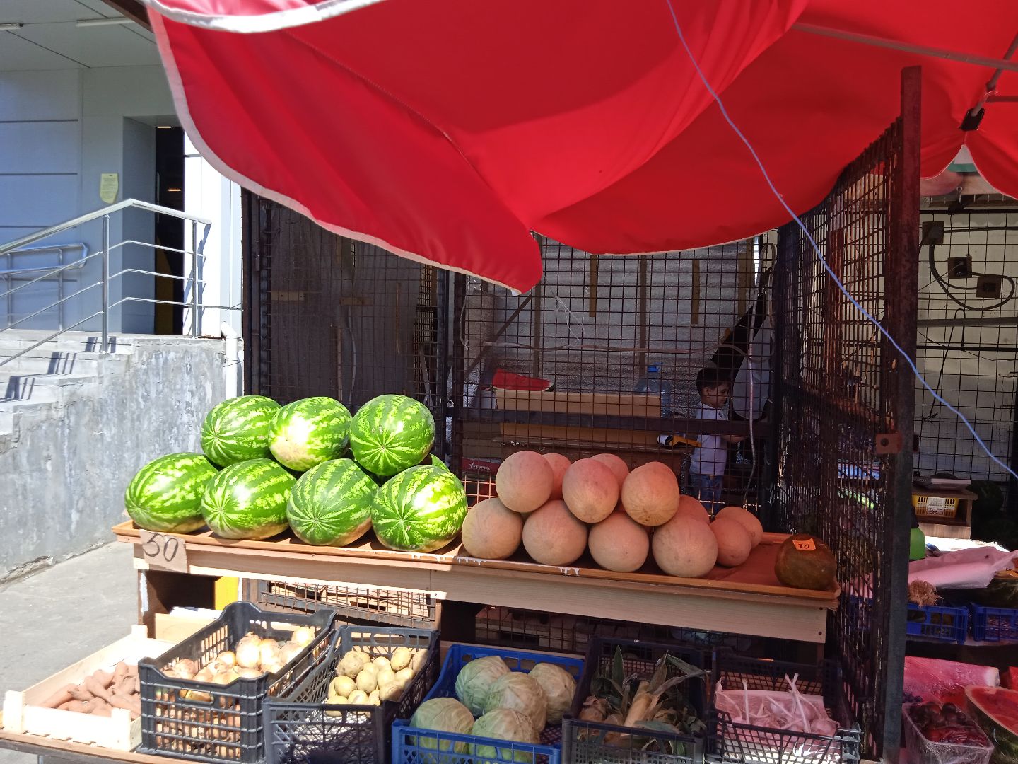 арбузы, дыни, сезон, точки, продажи, бахчевых