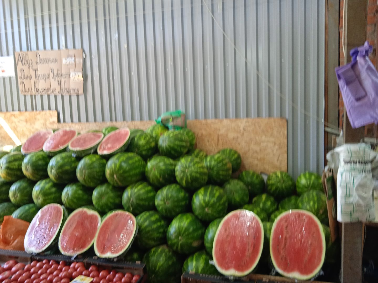 арбузы, дыни, сезон, точки, продажи, бахчевых