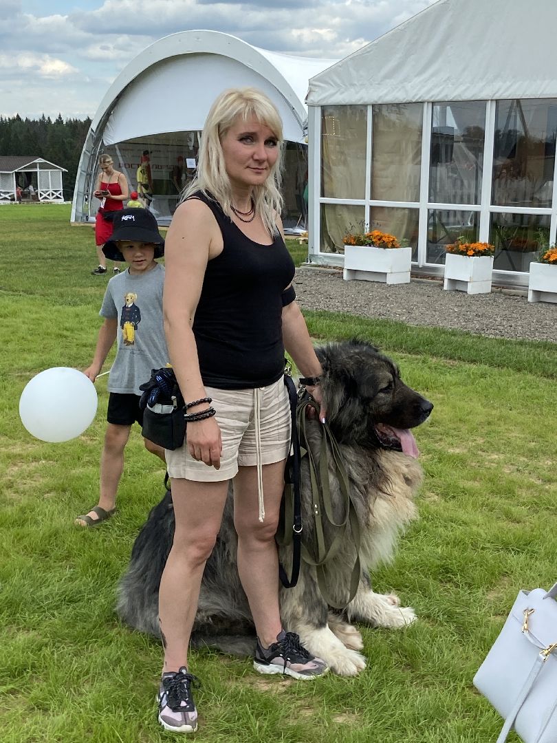 фермеры, фестиваль,