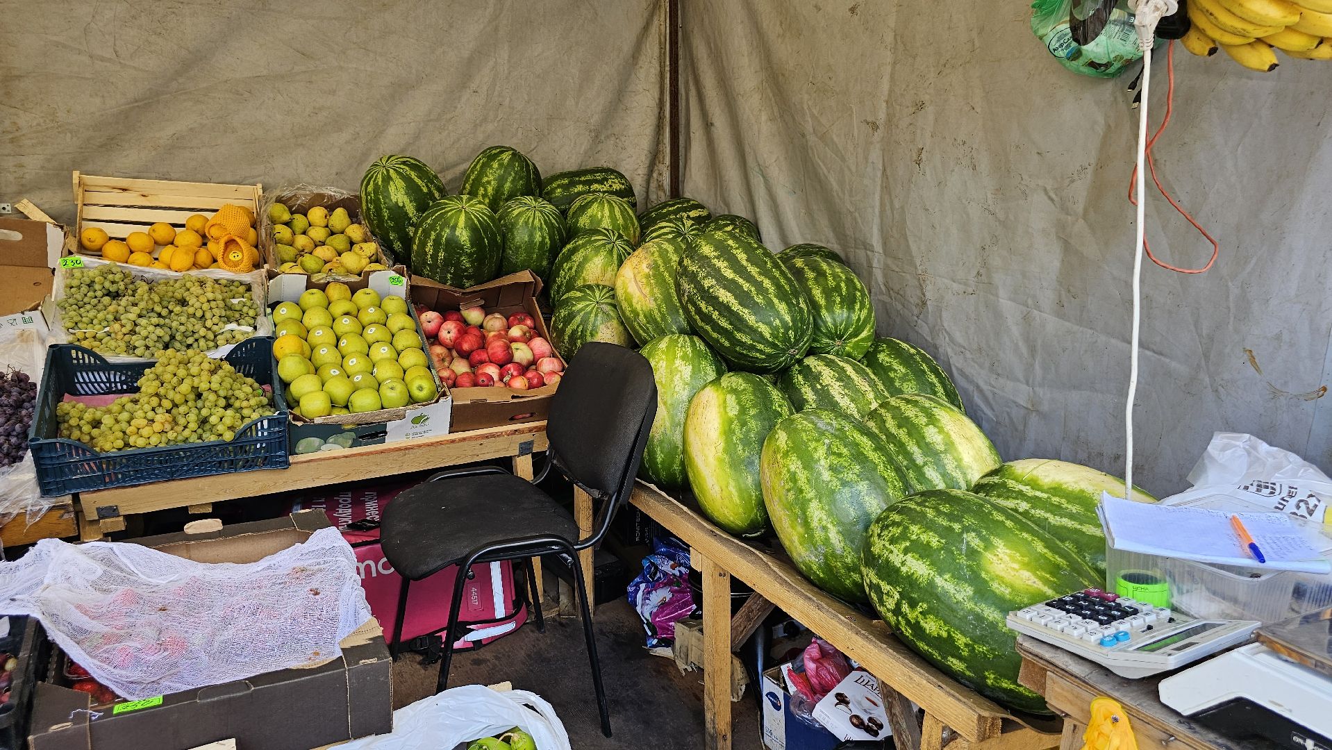 торговля, НТО, арбузы, дыни, Котельники