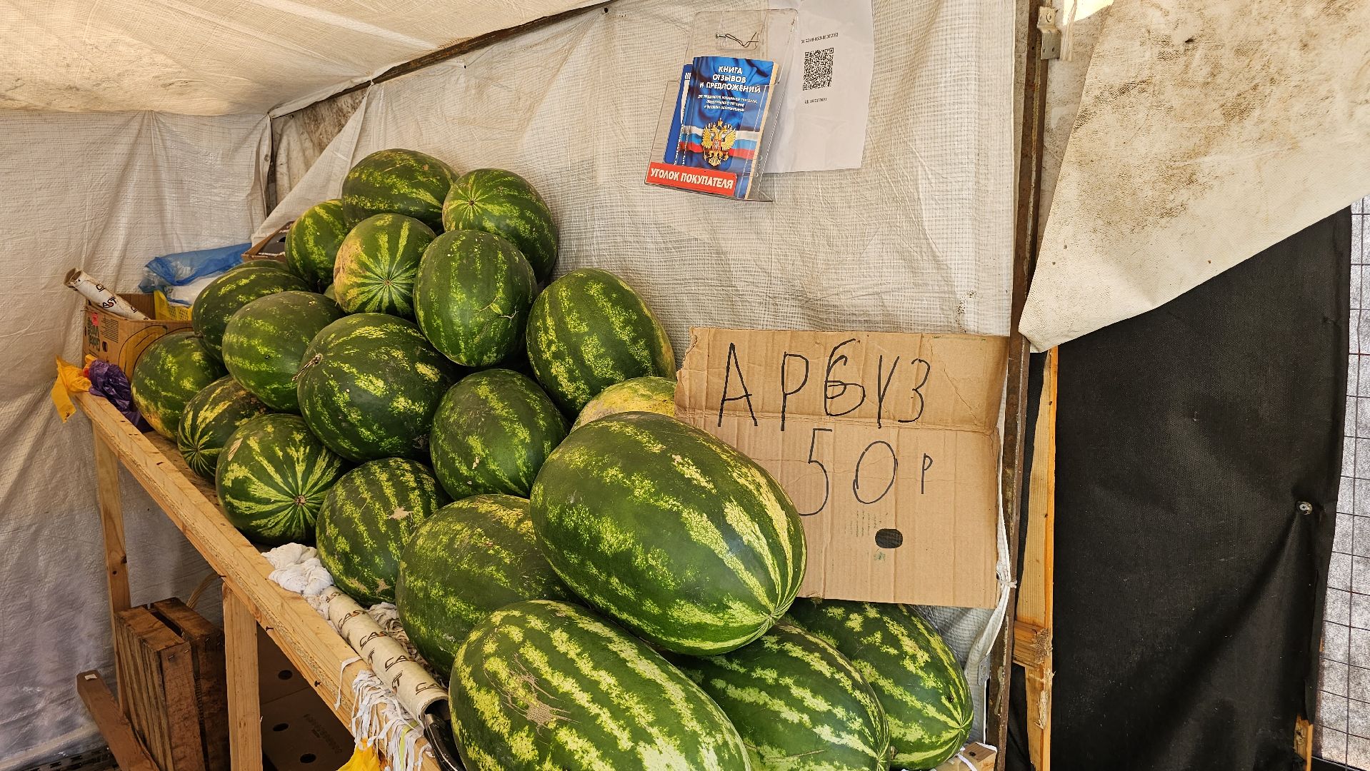 торговля, НТО, арбузы, дыни, Котельники