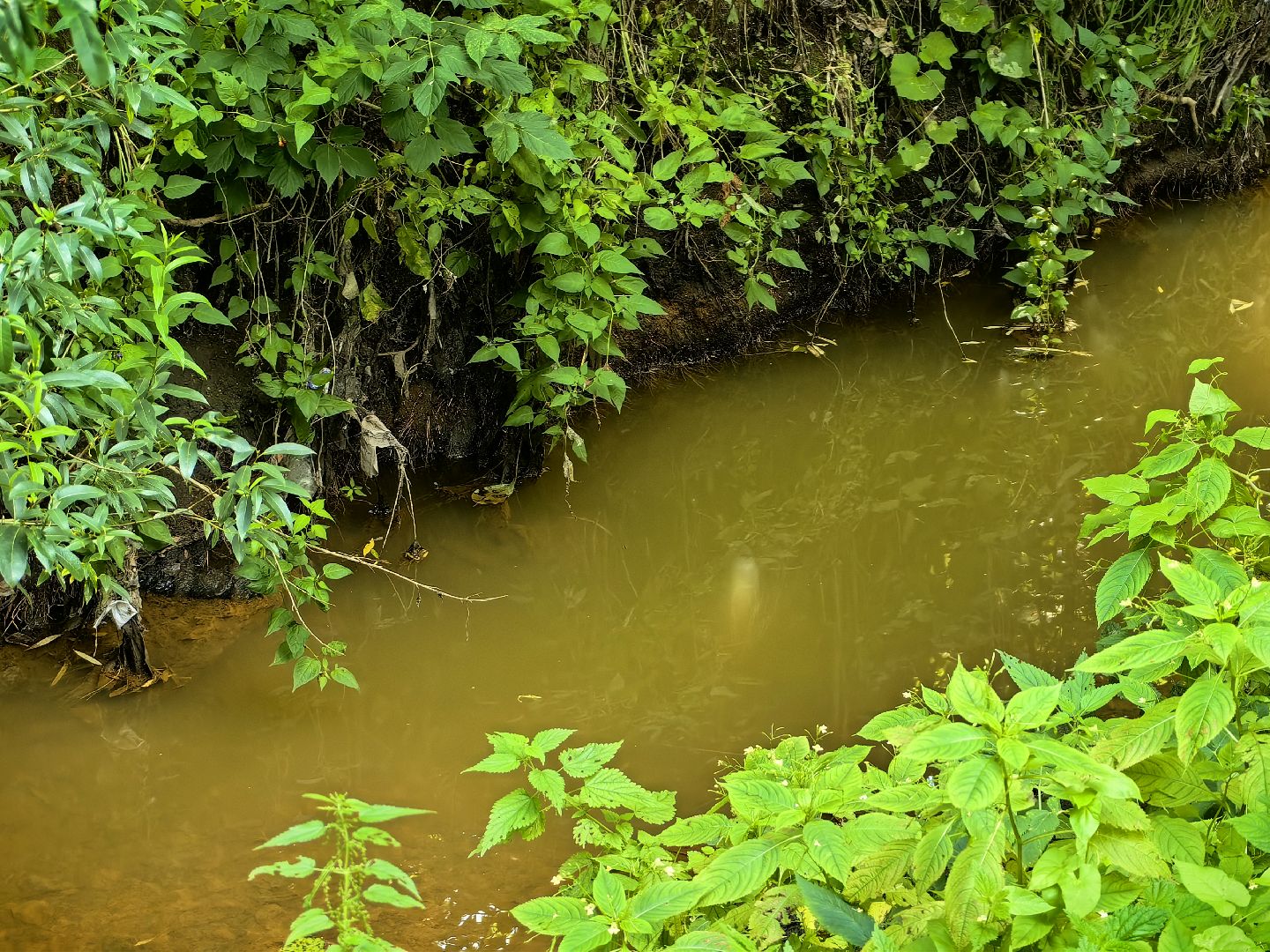 Вода, пробы, загрязнение, КНС