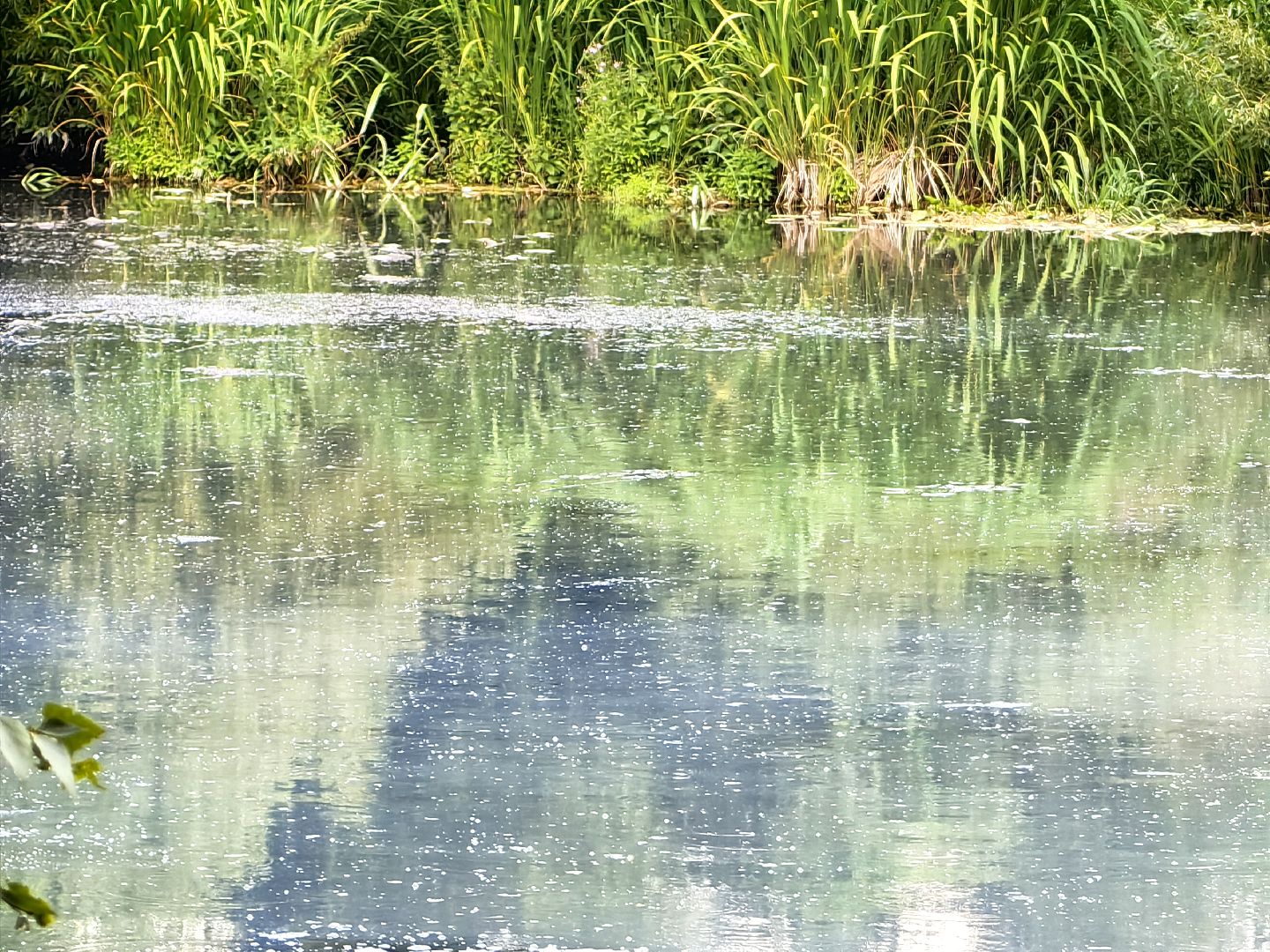 Вода, пробы, загрязнение, КНС