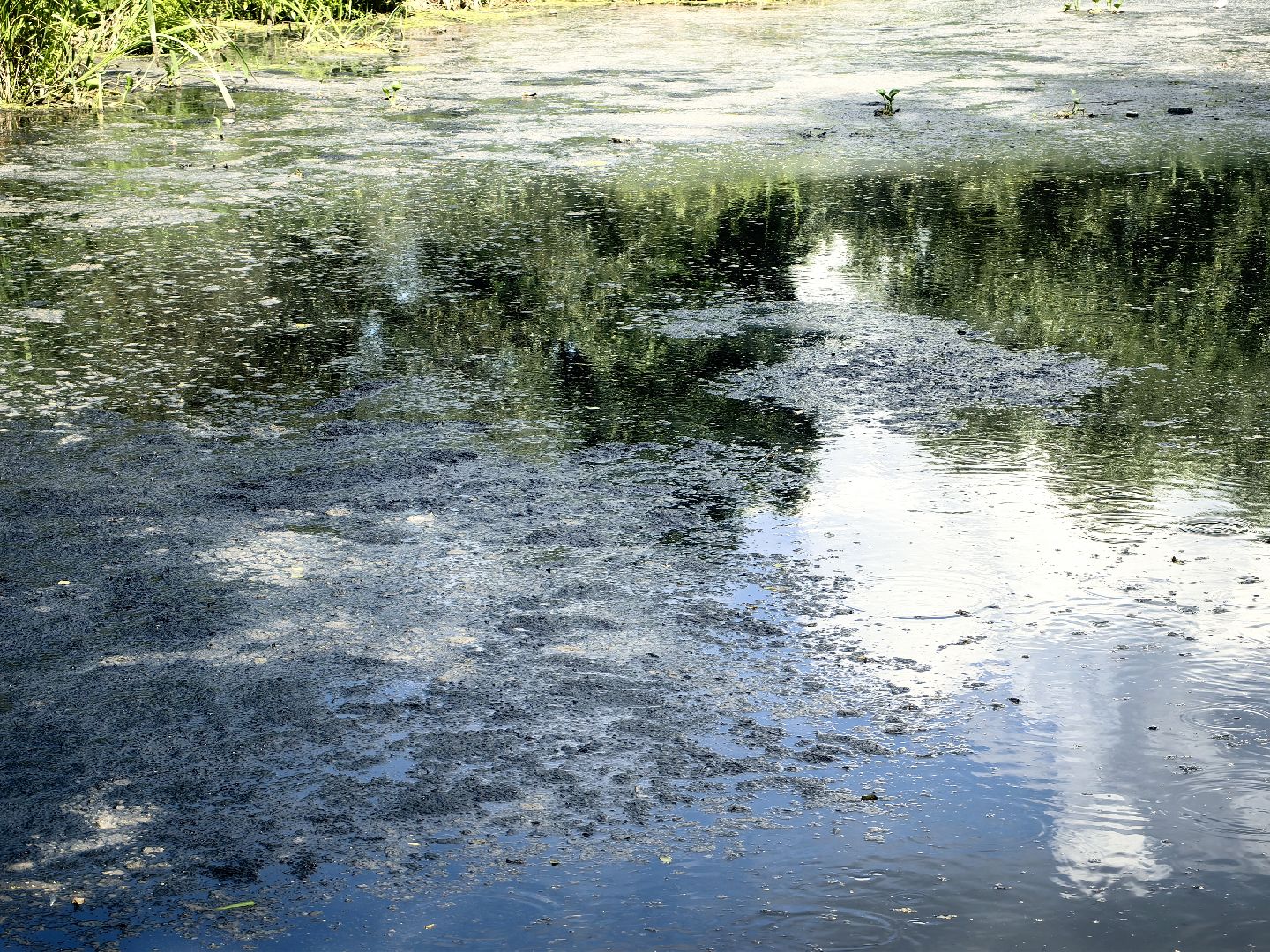 Вода, пробы, загрязнение, КНС