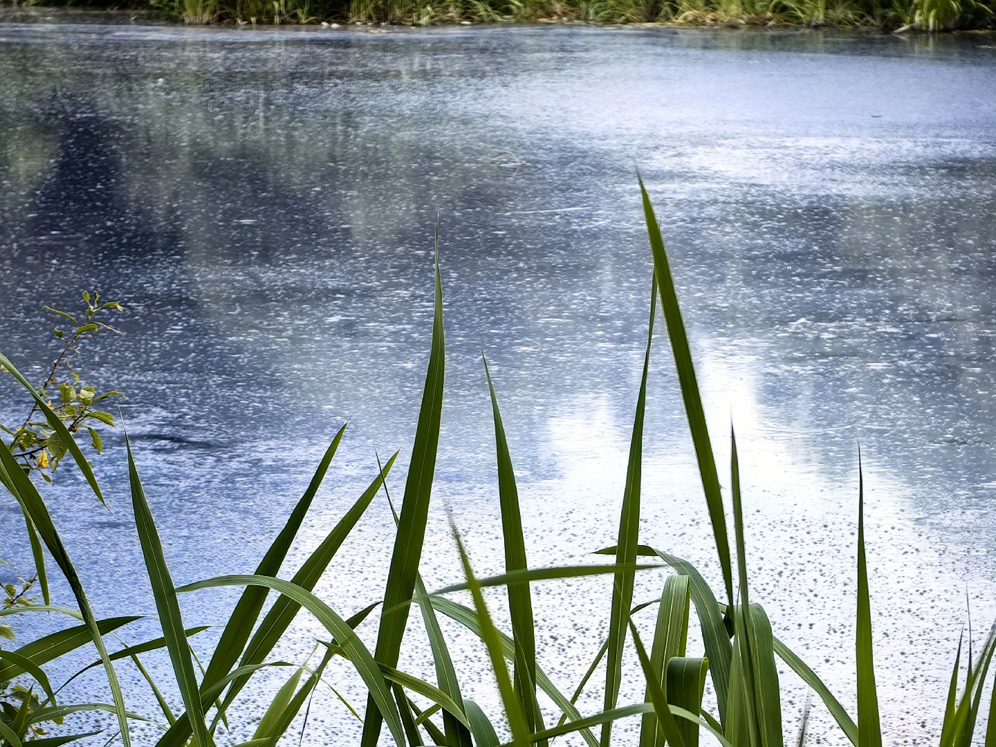 Вода, пробы, загрязнение, КНС