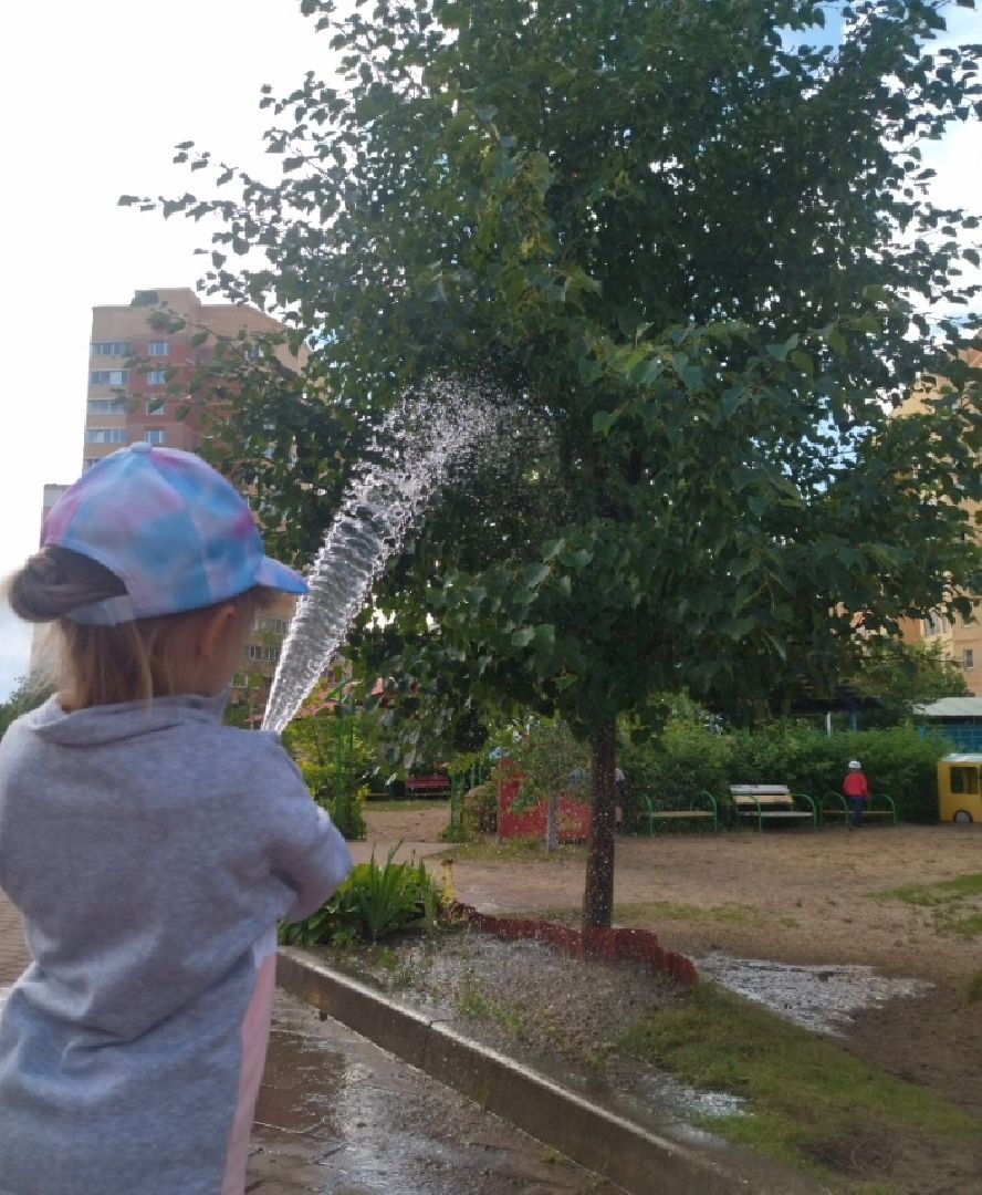 Город-сад, конкурс, Пушкарёва, Прохоров, номинации