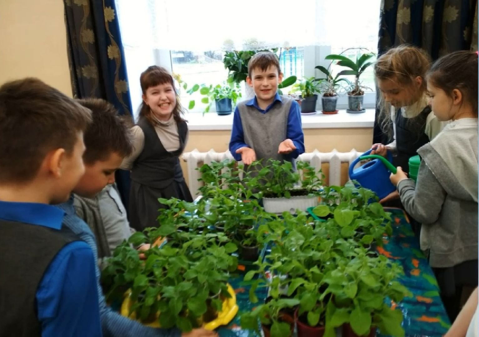 Город-сад, конкурс, Пушкарёва, Прохоров, номинации