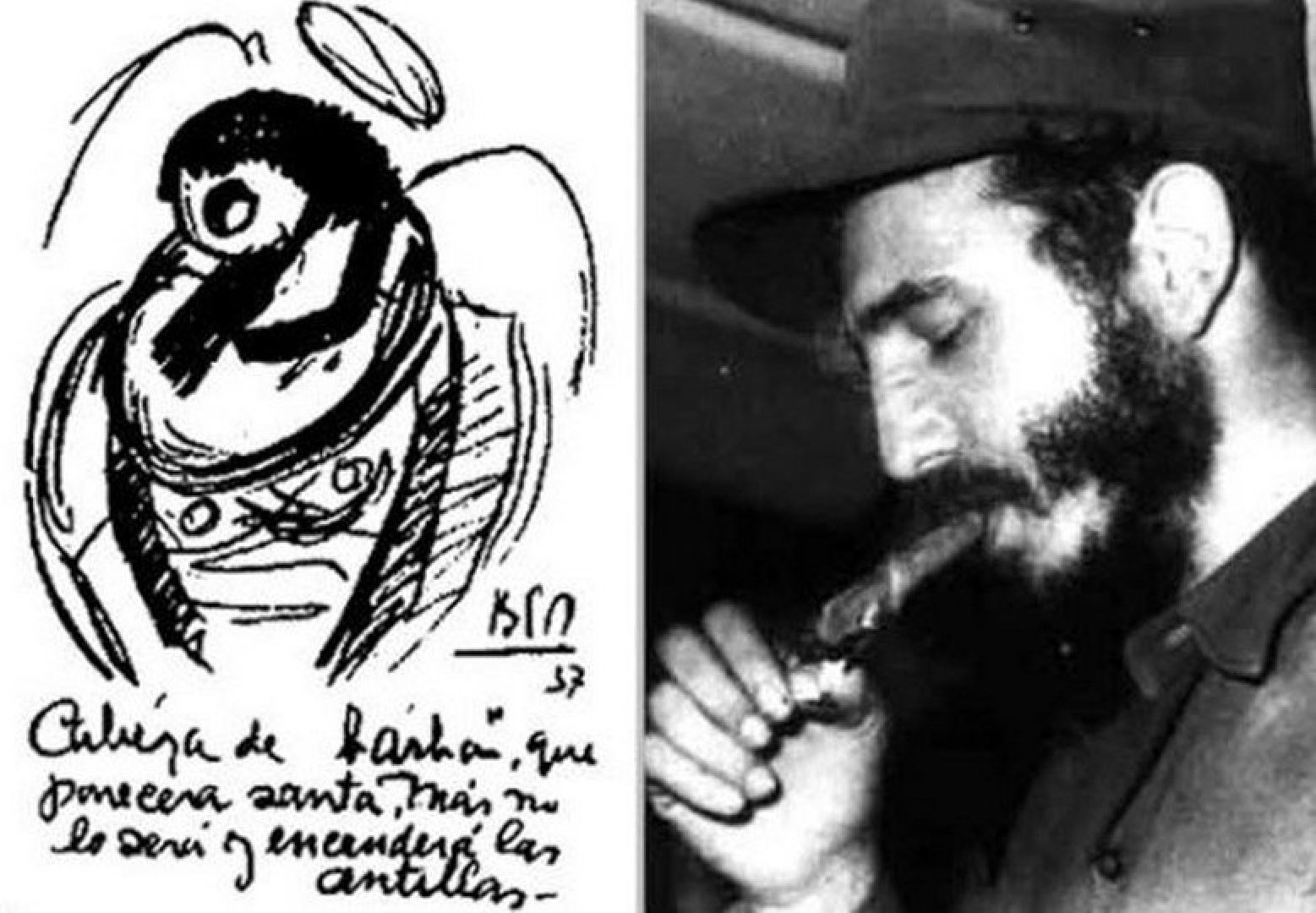 Звенигород, Активное долголетие, культура