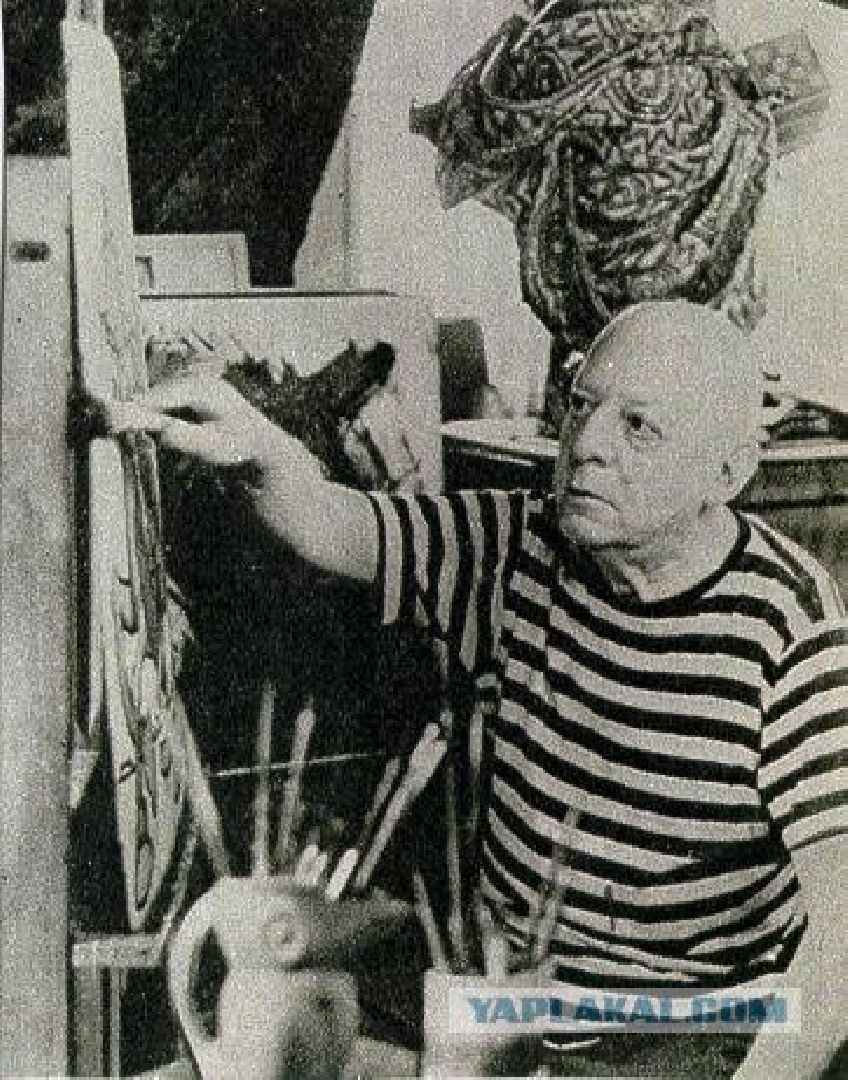 Звенигород, Активное долголетие, культура