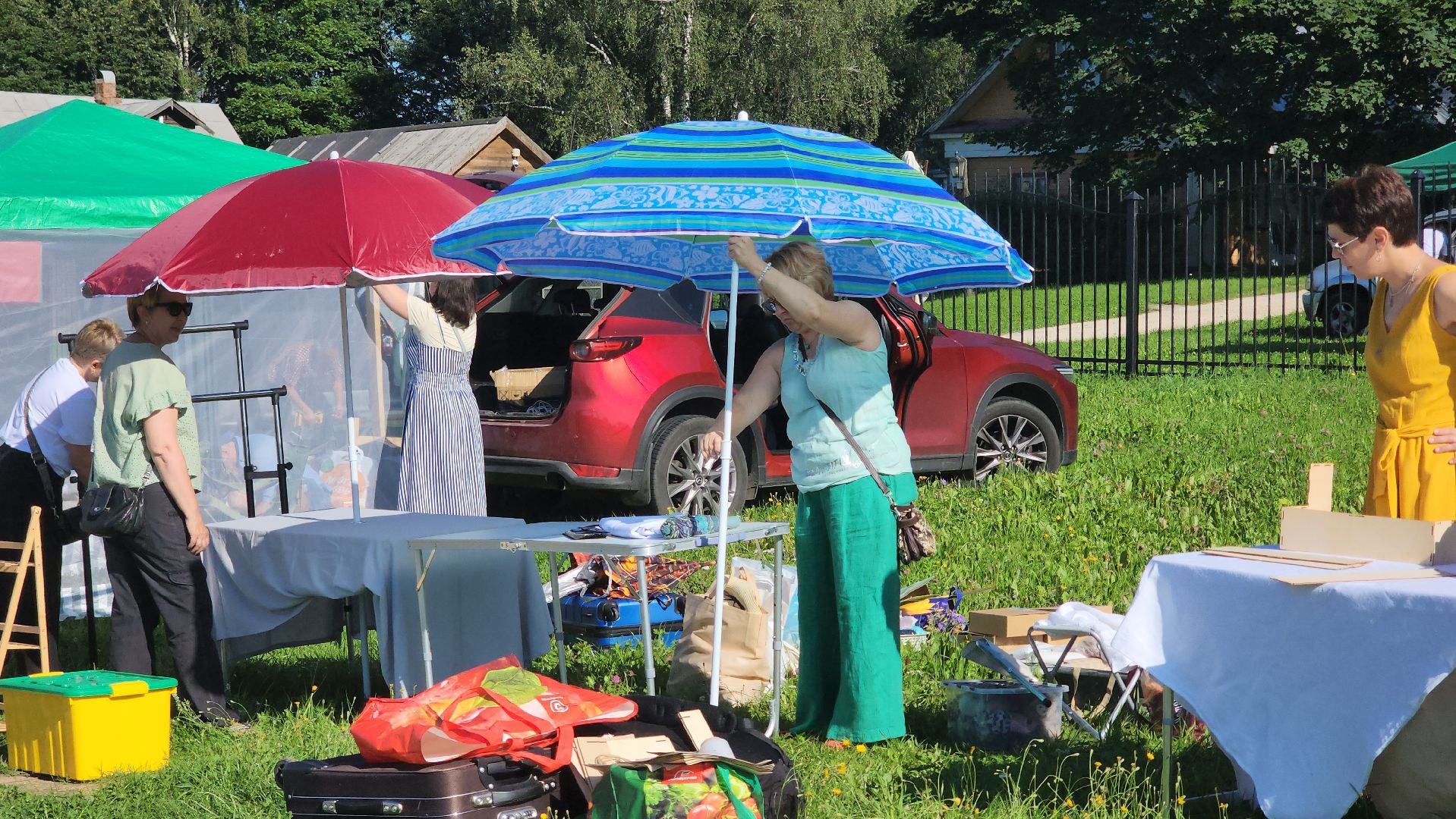 Пушкино, Пушкинский округ, усадьба Мураново, День Варенья, общество, творчество, Мураново