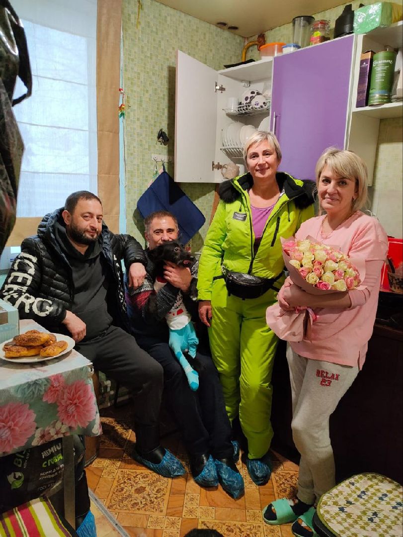 Подольск, зоозащитник, Айрапетян, собаки, животные