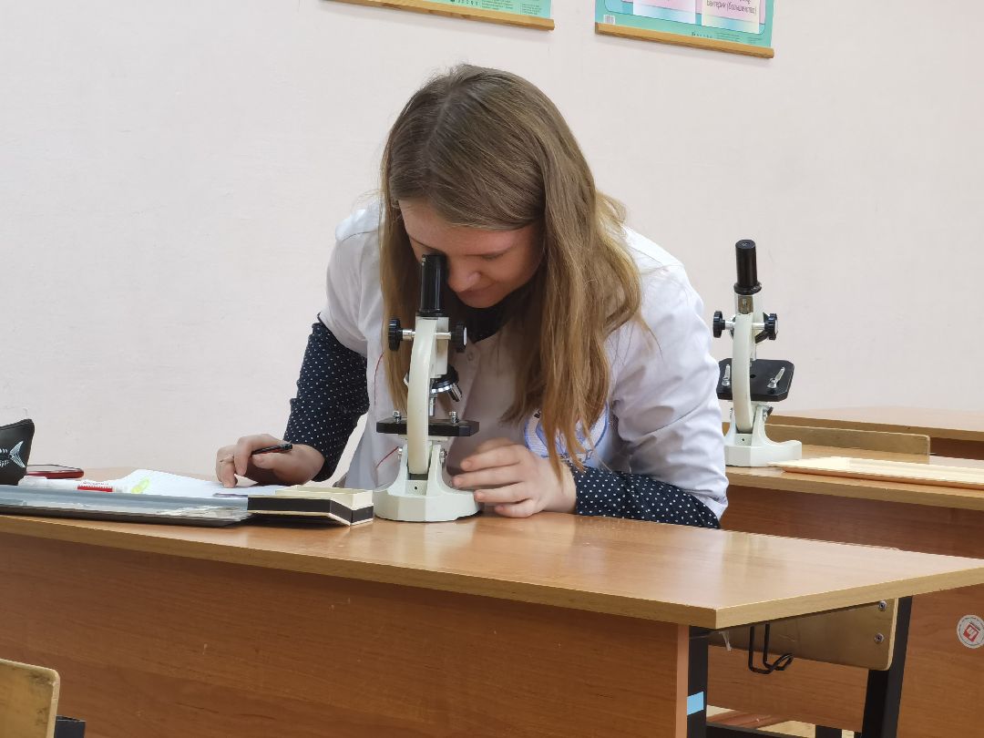 Коломна Образование