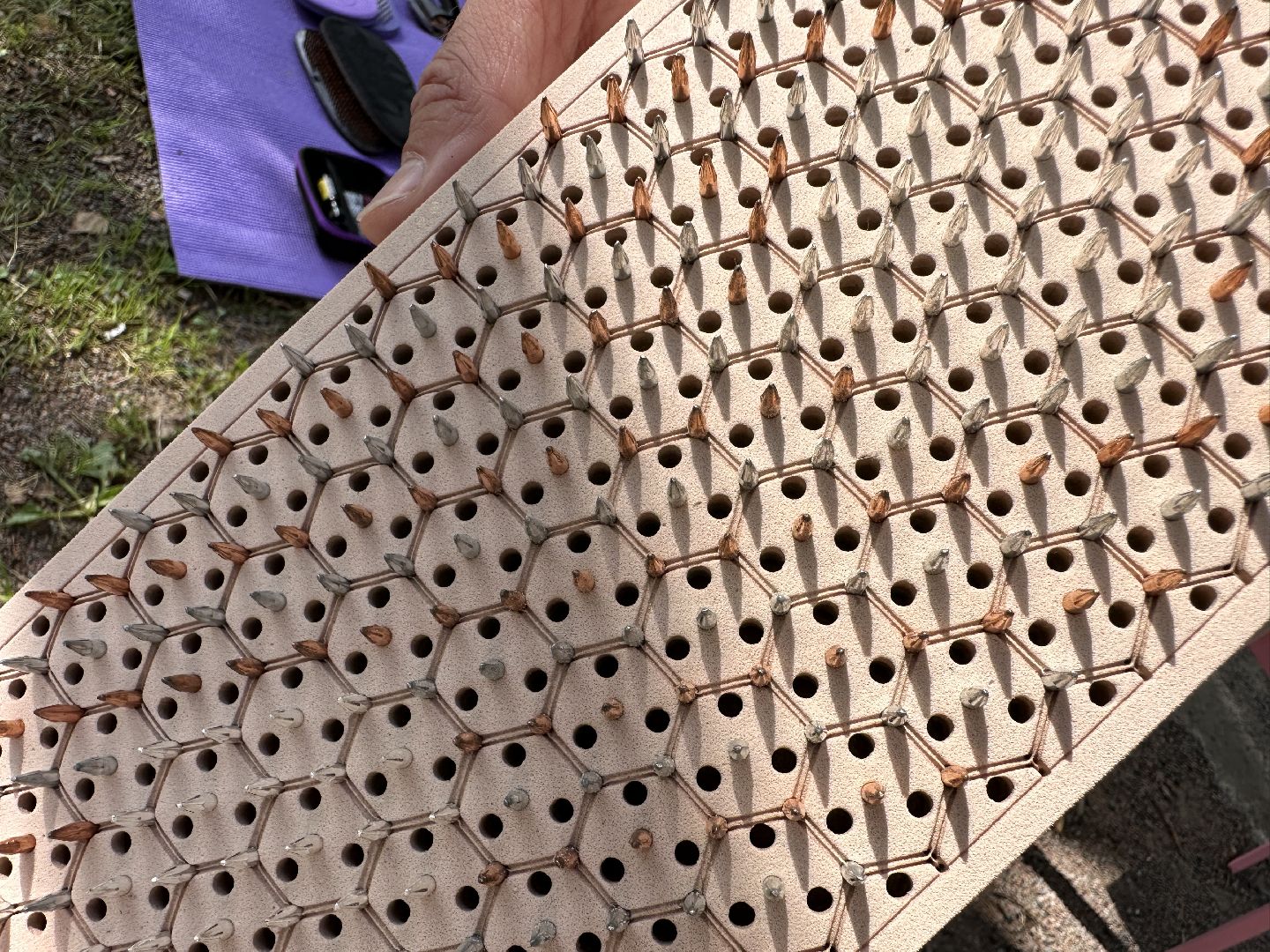 Одинцово, Раздолье, Гвоздестояние. Фестиваль йоги